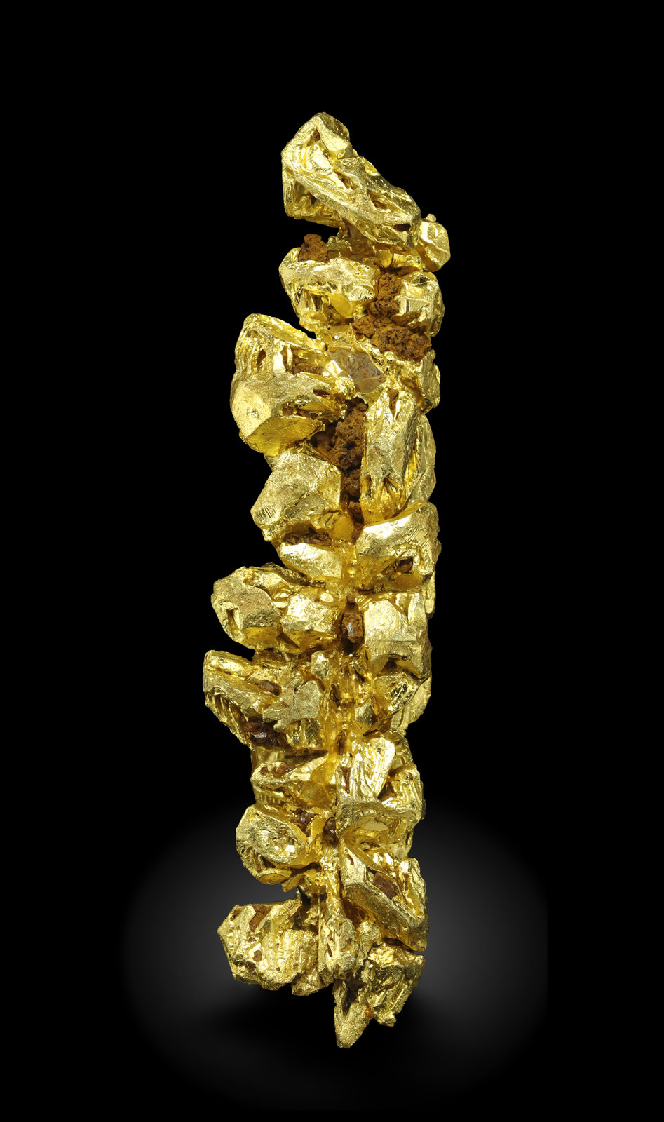 specimens/s_imagesAM5/Gold-MN96AM5_0805_f.jpg