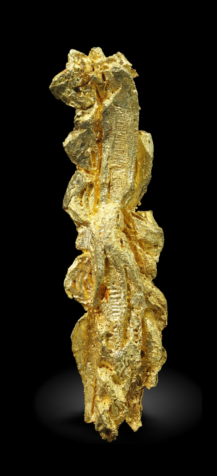 specimens/s_imagesAM5/Gold-MV99AM5_1323_r.jpg