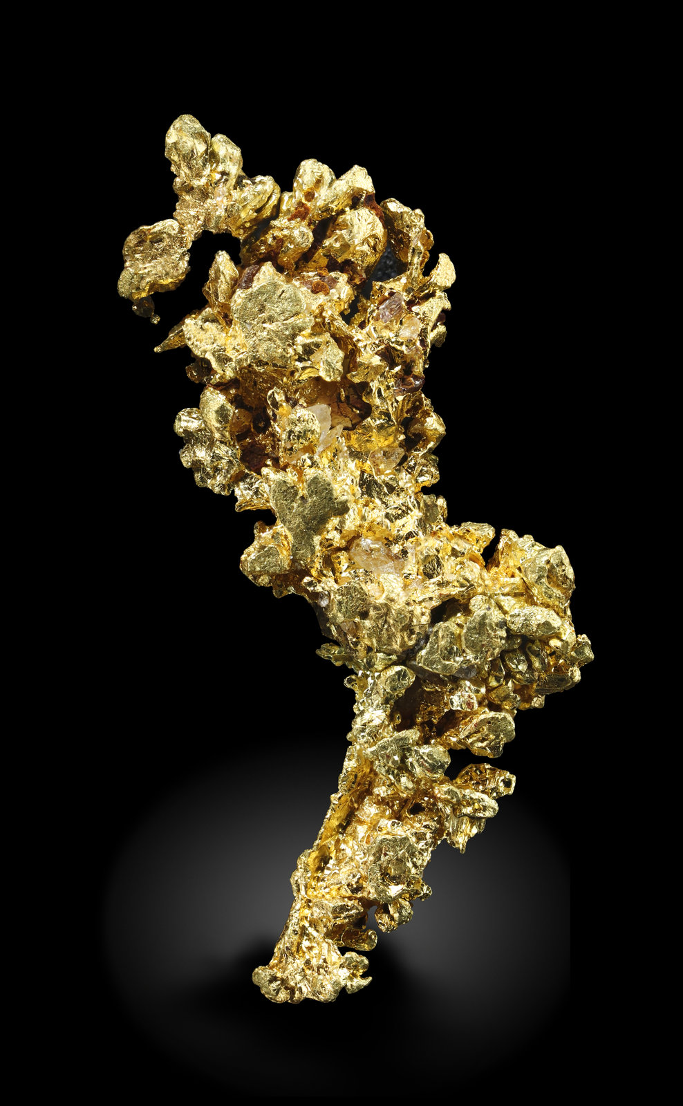 specimens/s_imagesAM5/Gold-MZ11AM5_1207_f.jpg