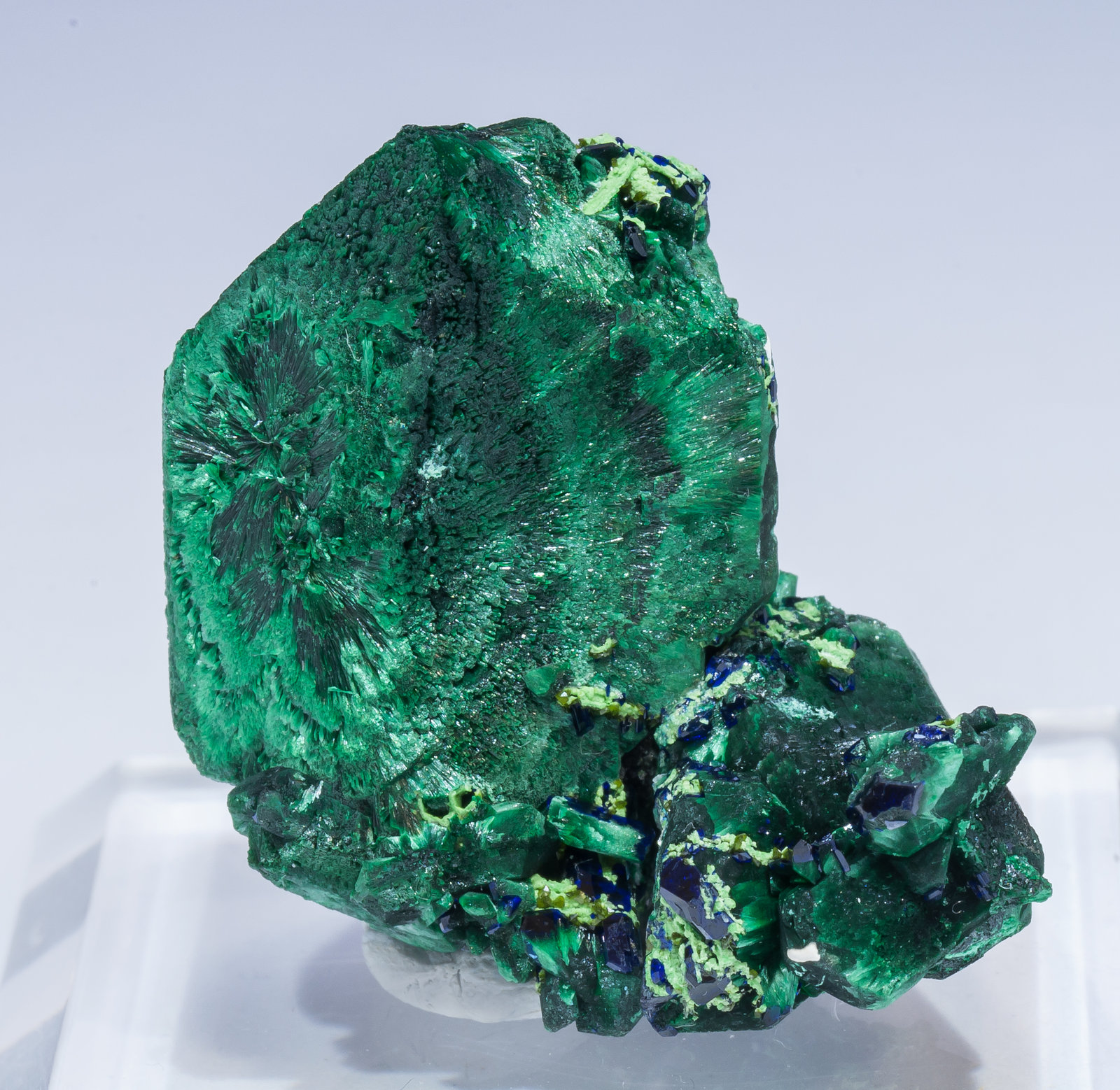 specimens/s_imagesAM5/Malachite-CC27AM5f.jpg