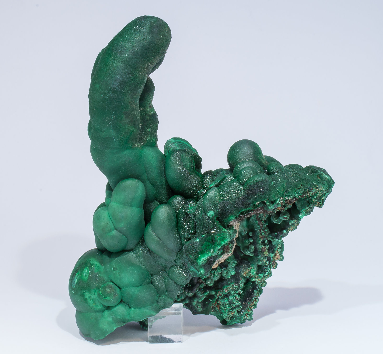 specimens/s_imagesAM5/Malachite-EF91AM5s2.jpg