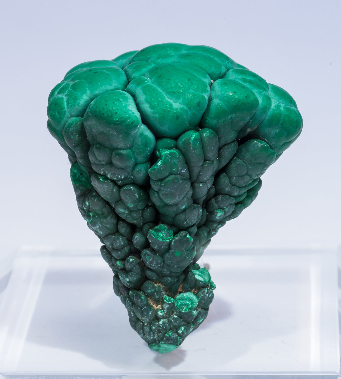 specimens/s_imagesAM5/Malachite-NM16AM5s2.jpg