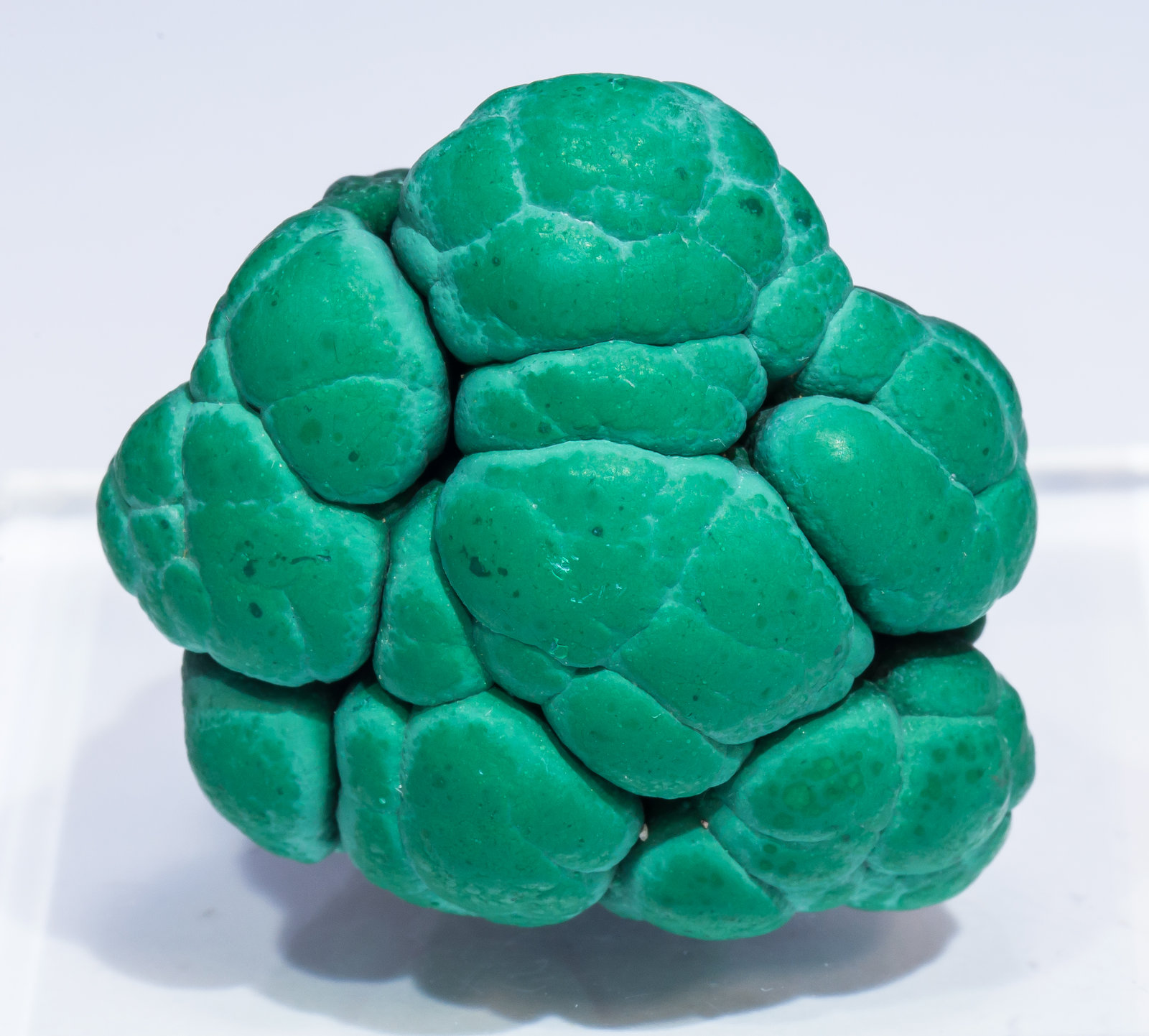 specimens/s_imagesAM5/Malachite-NM16AM5t.jpg