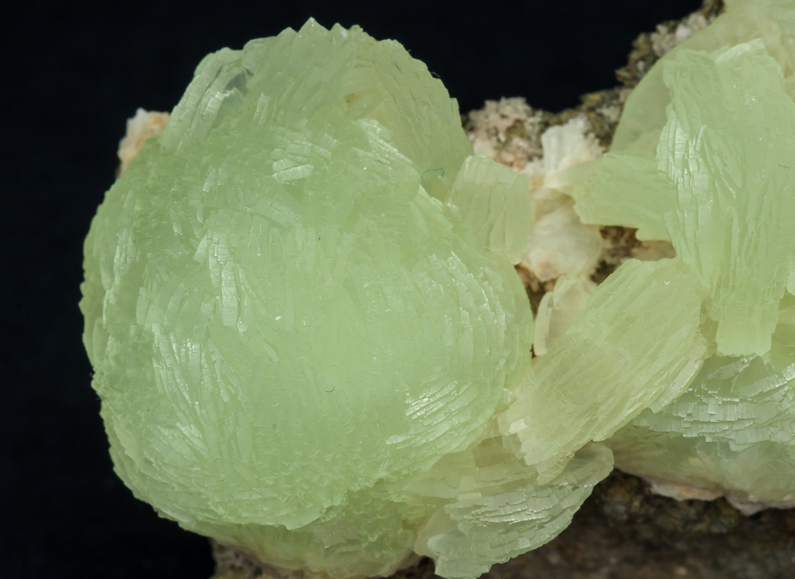 specimens/s_imagesAM5/Prehnite-TK14AM5d.jpg