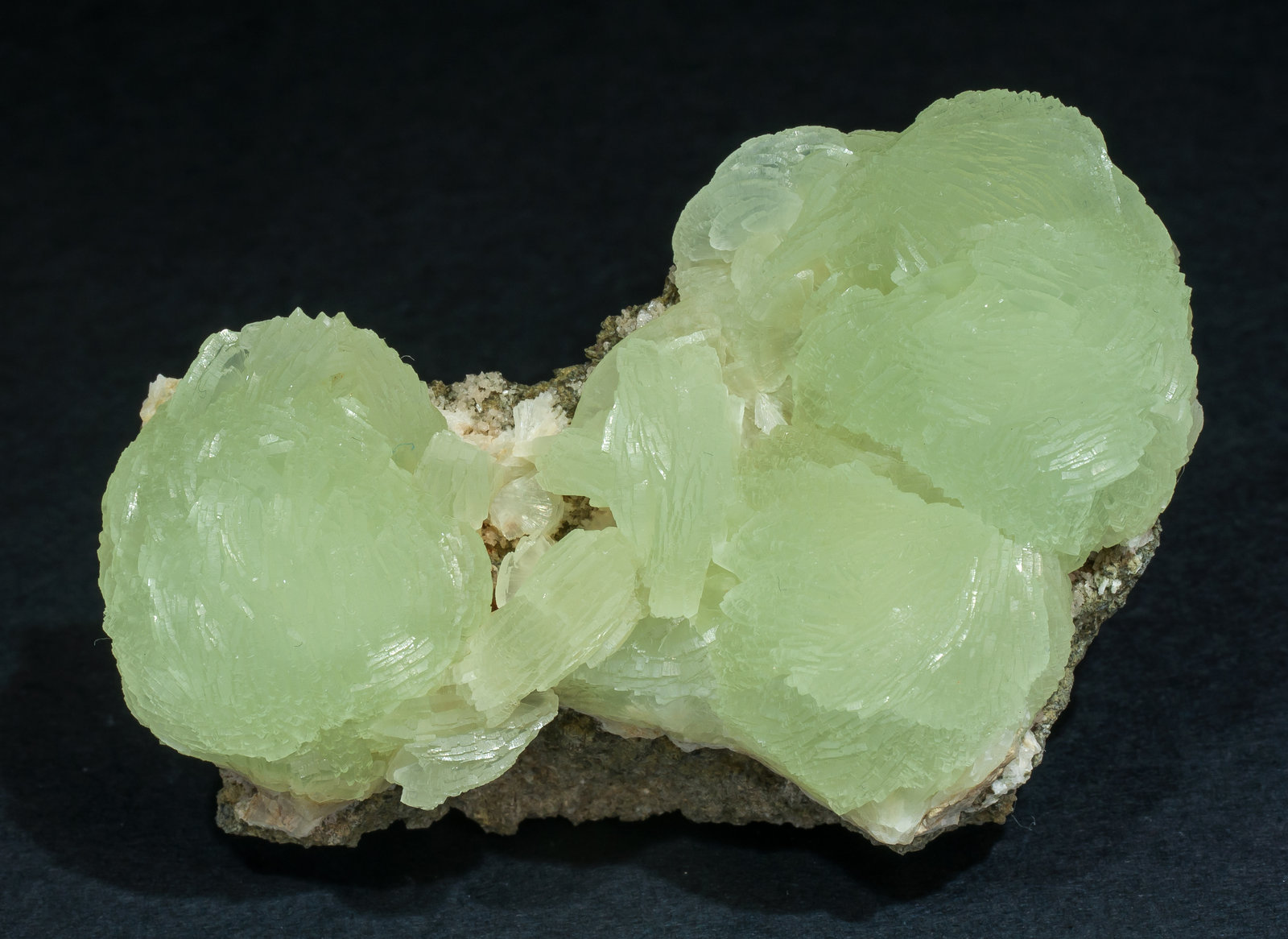 specimens/s_imagesAM5/Prehnite-TK14AM5f.jpg