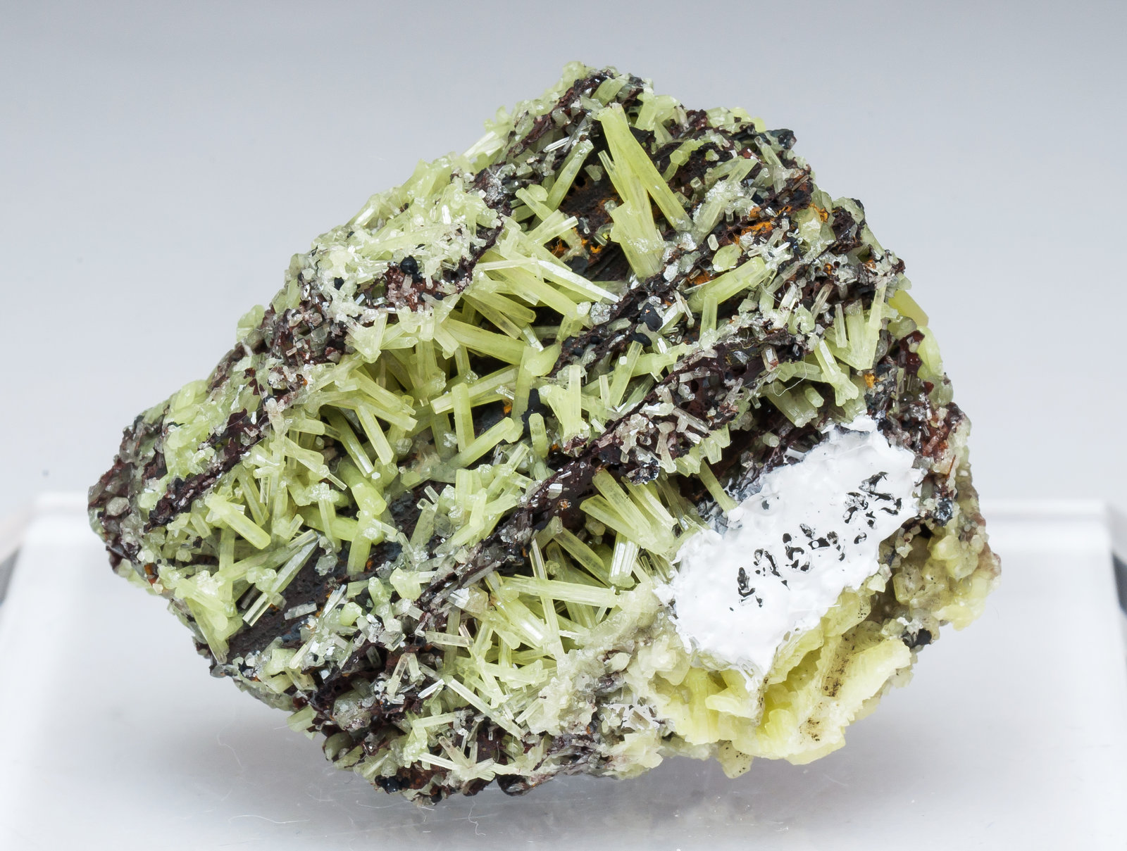 specimens/s_imagesAM5/Pyromorphite-CX67AM5r.jpg