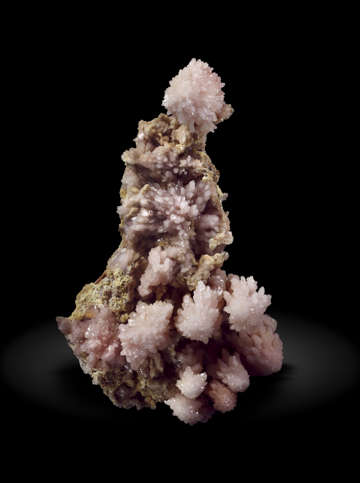 specimens/s_imagesAM5/Quartz_rose-MT46AM5_2845_f.jpg