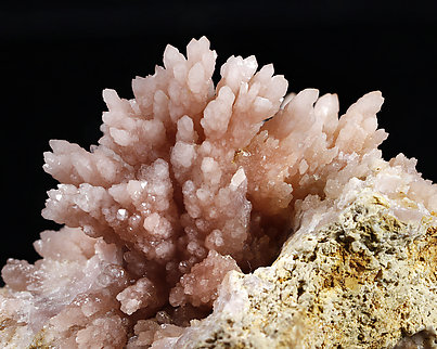 Quartz (variety rose quartz). Detail / Photo: Joaquim Calln