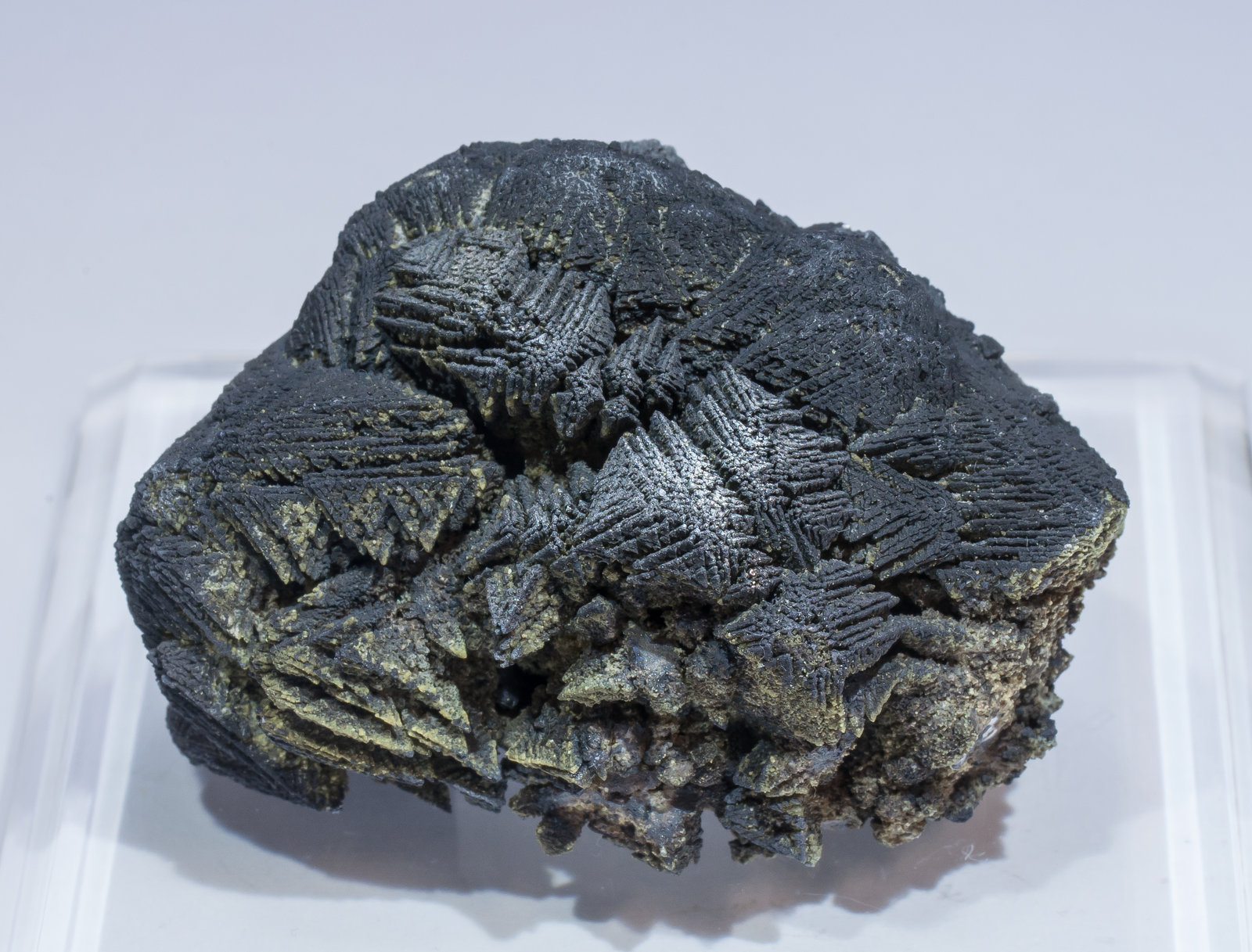 specimens/s_imagesAM5/Rhodochrosite-TE66AM5f.jpg