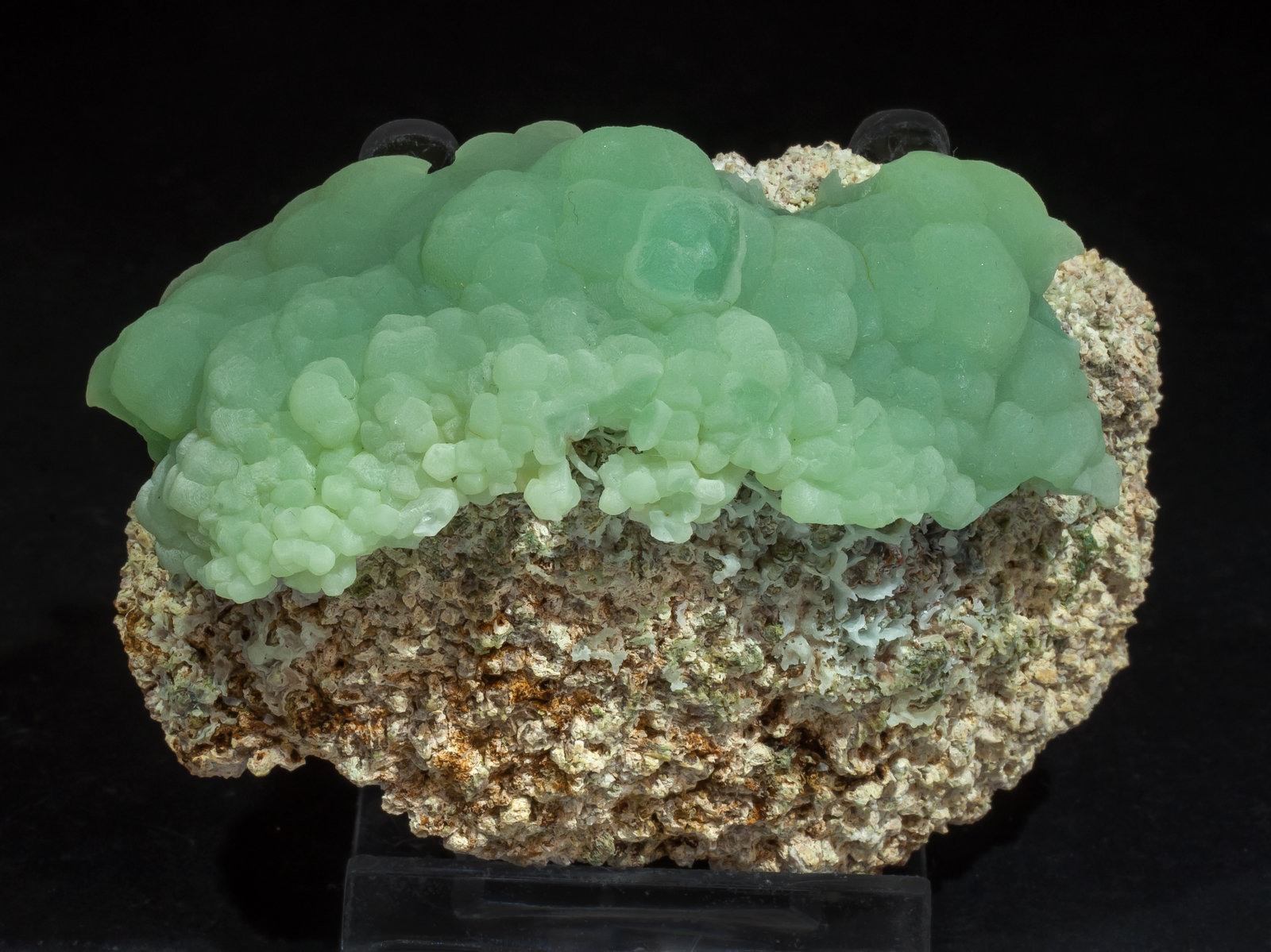 specimens/s_imagesAM5/Smithsonite-EY68AM5f.jpg