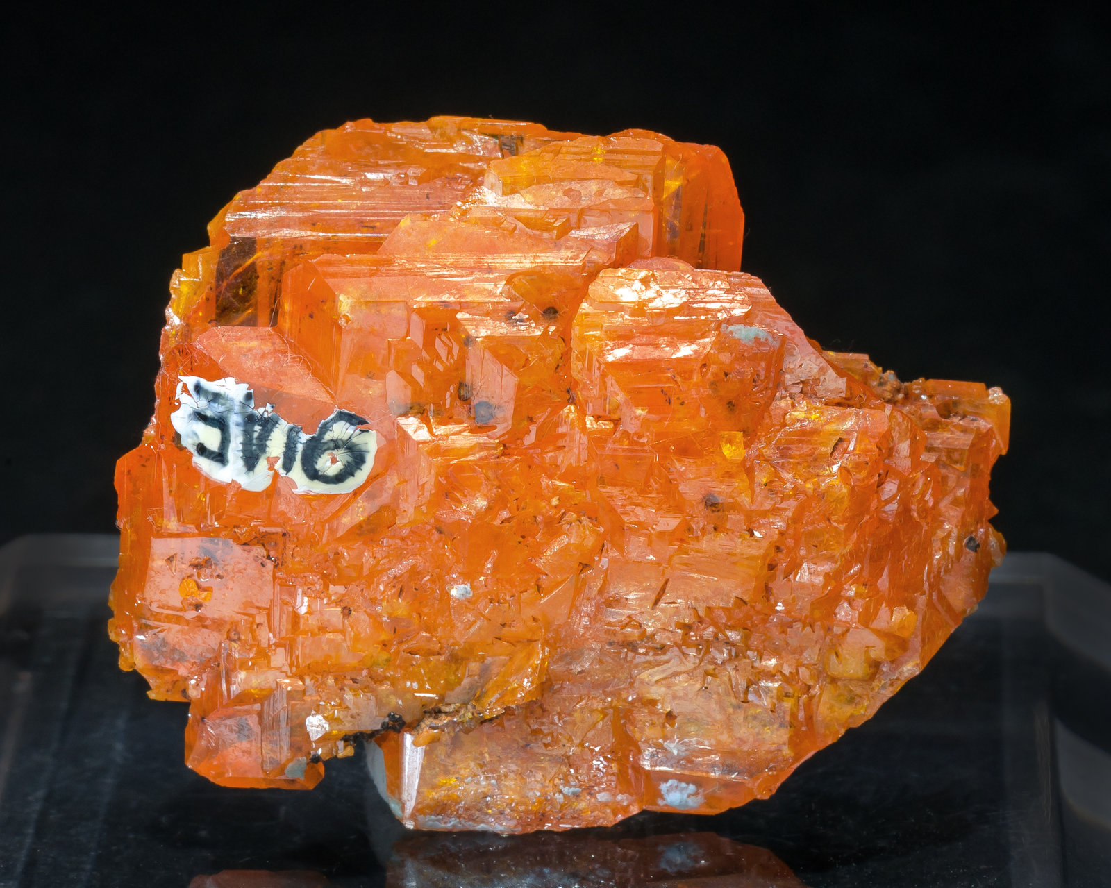 specimens/s_imagesAM5/Wulfenite-NE98AM5r.jpg