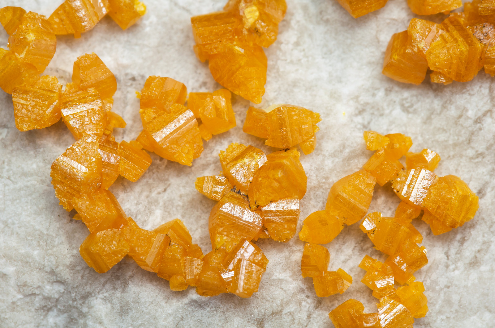 specimens/s_imagesAM5/Wulfenite-TF26AM5d.jpg