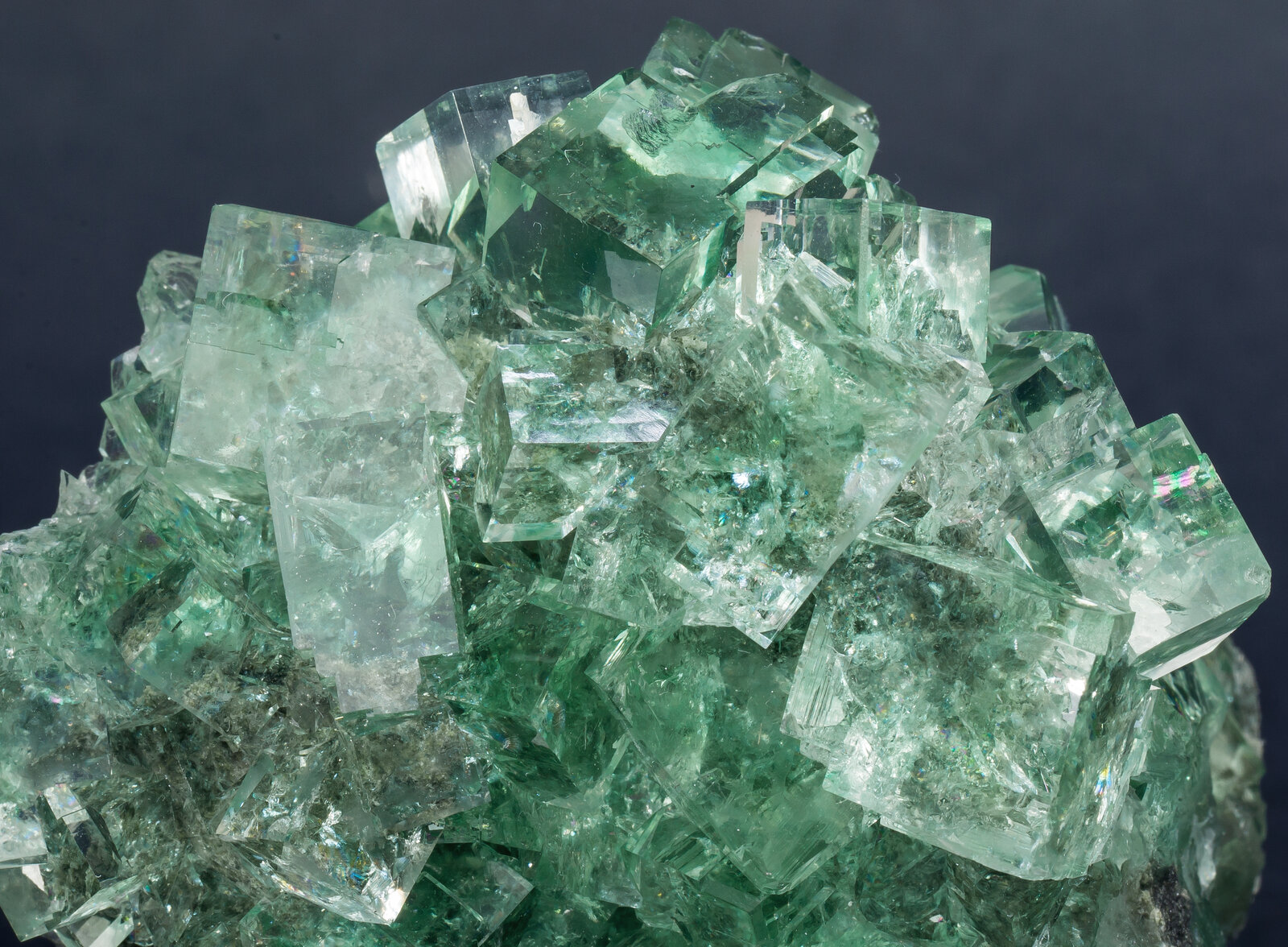 specimens/s_imagesAM6/Fluorite-EG69AM6d.jpg