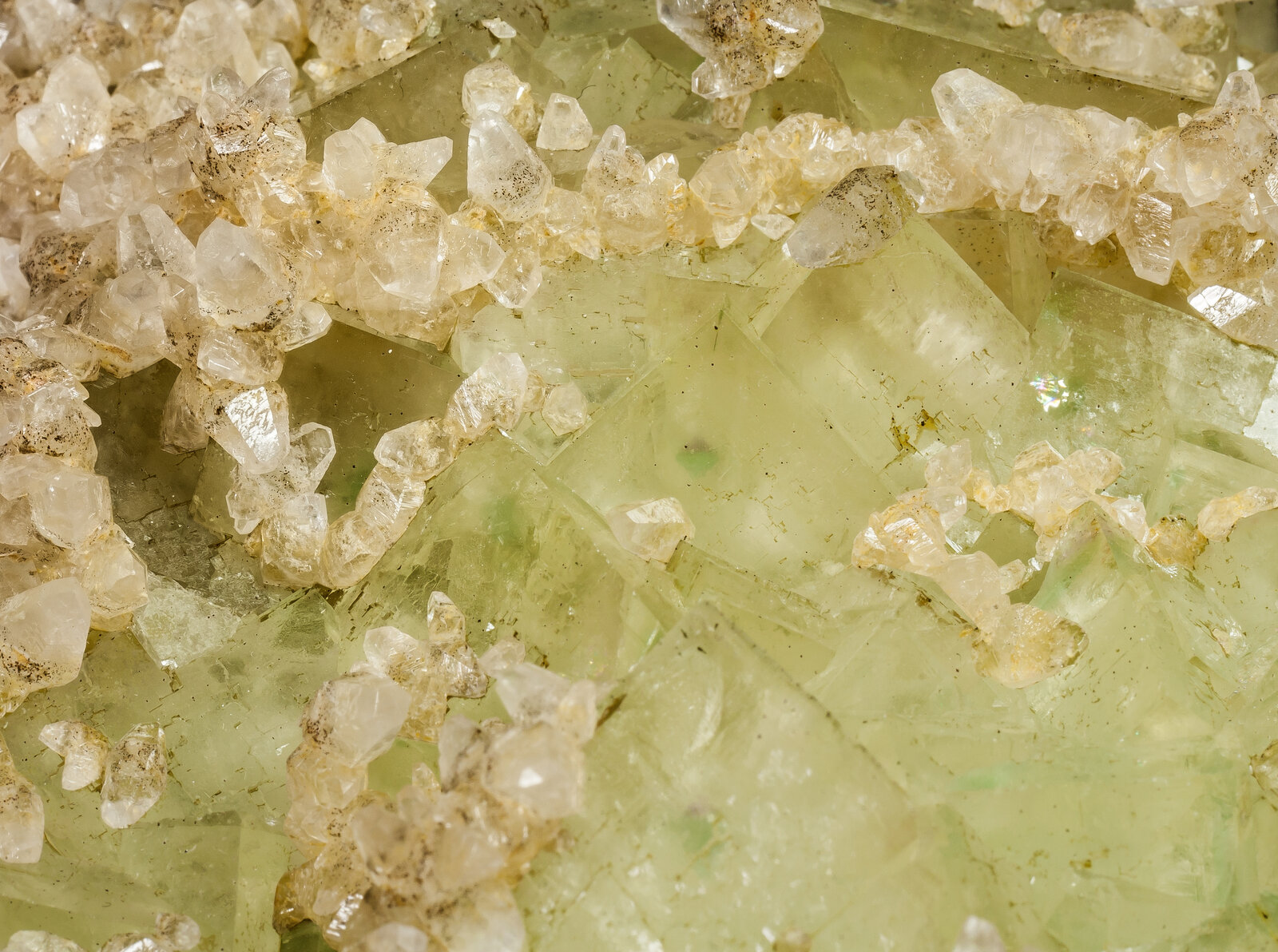 specimens/s_imagesAM6/Fluorite-TG99AM6d.jpg