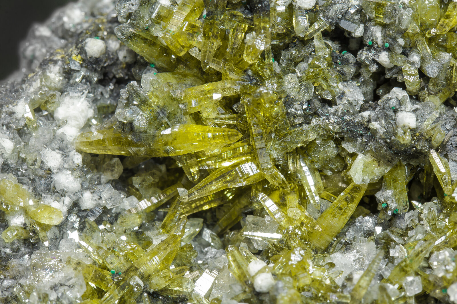 specimens/s_imagesAM6/Mimetite-EA97AM6d.jpg