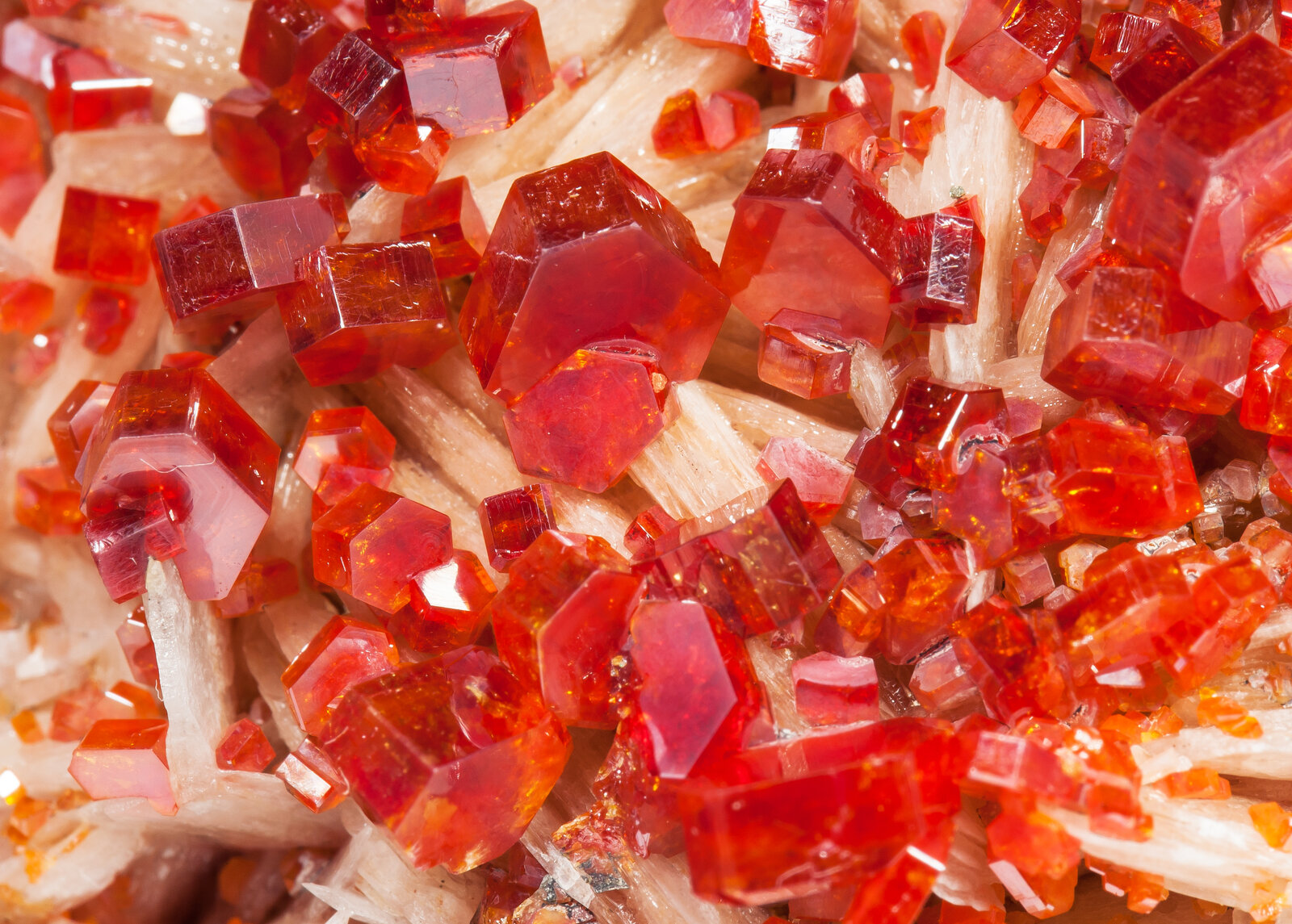 specimens/s_imagesAM6/Vanadinite-AA27AM6d.jpg