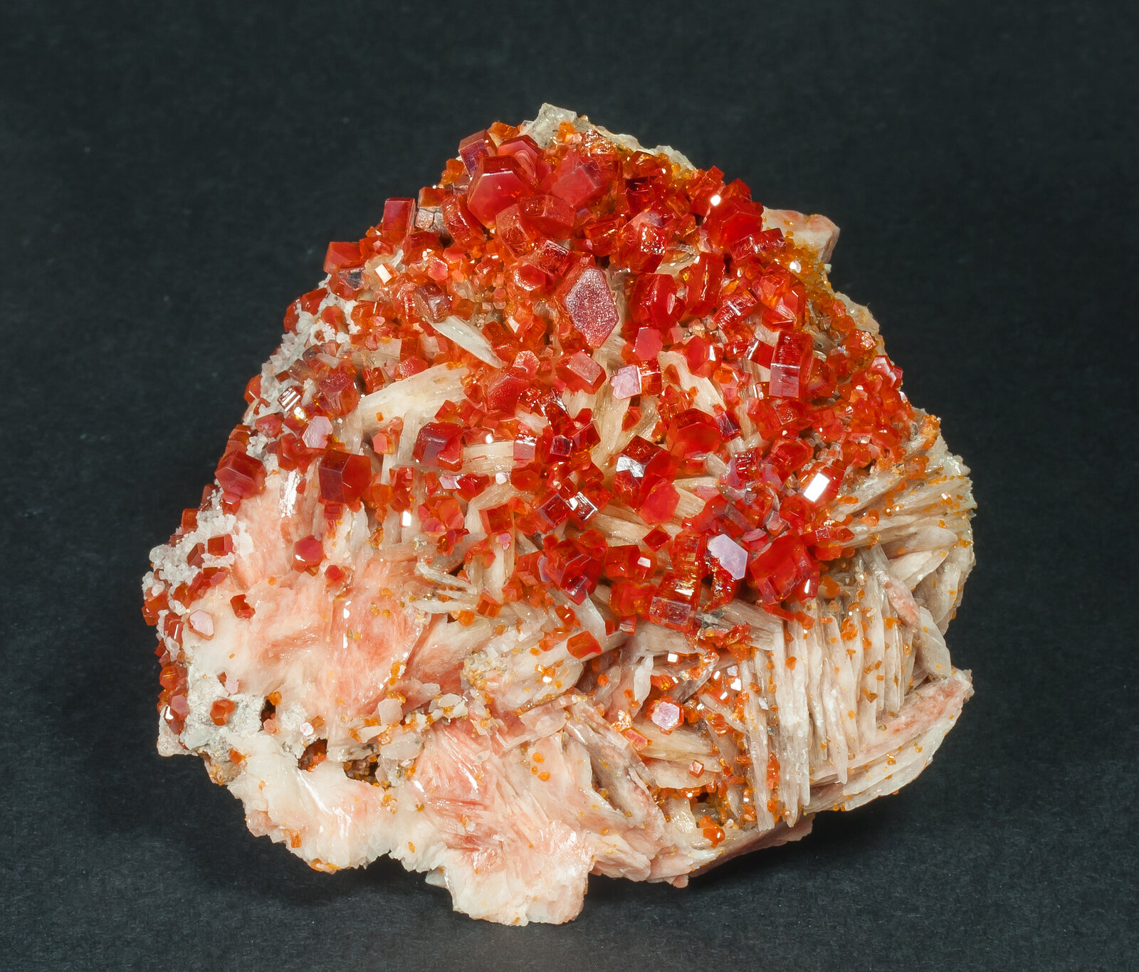 specimens/s_imagesAM6/Vanadinite-AA27AM6f.jpg