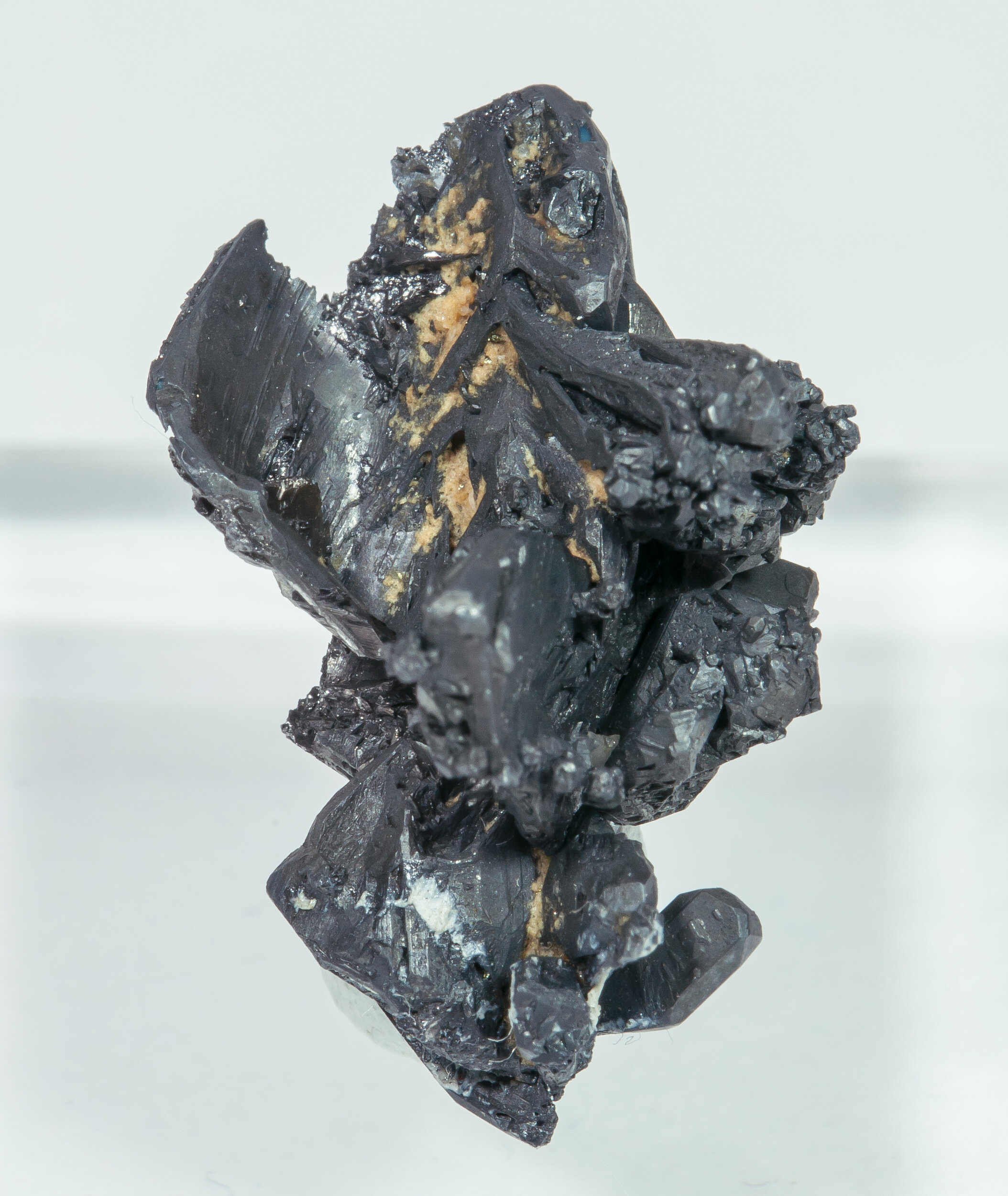 specimens/s_imagesAM7/Acanthite-EM47AM7r.jpg