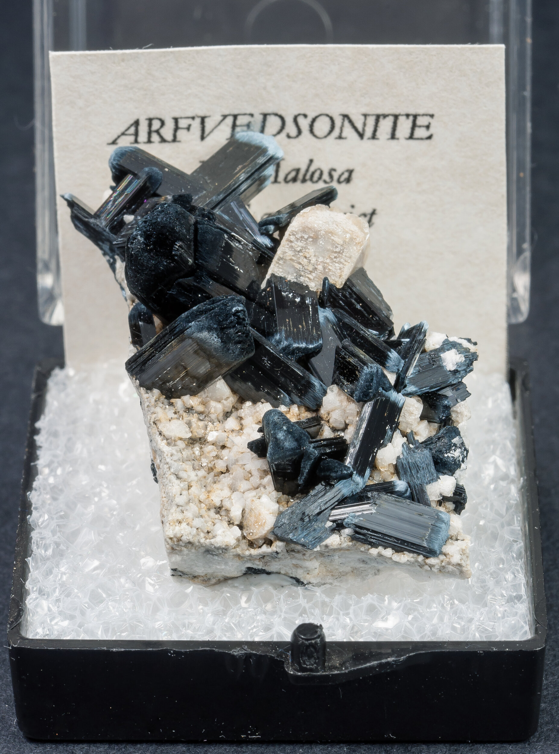 specimens/s_imagesAM7/Arfvedsonite-MG14AM7f.jpg