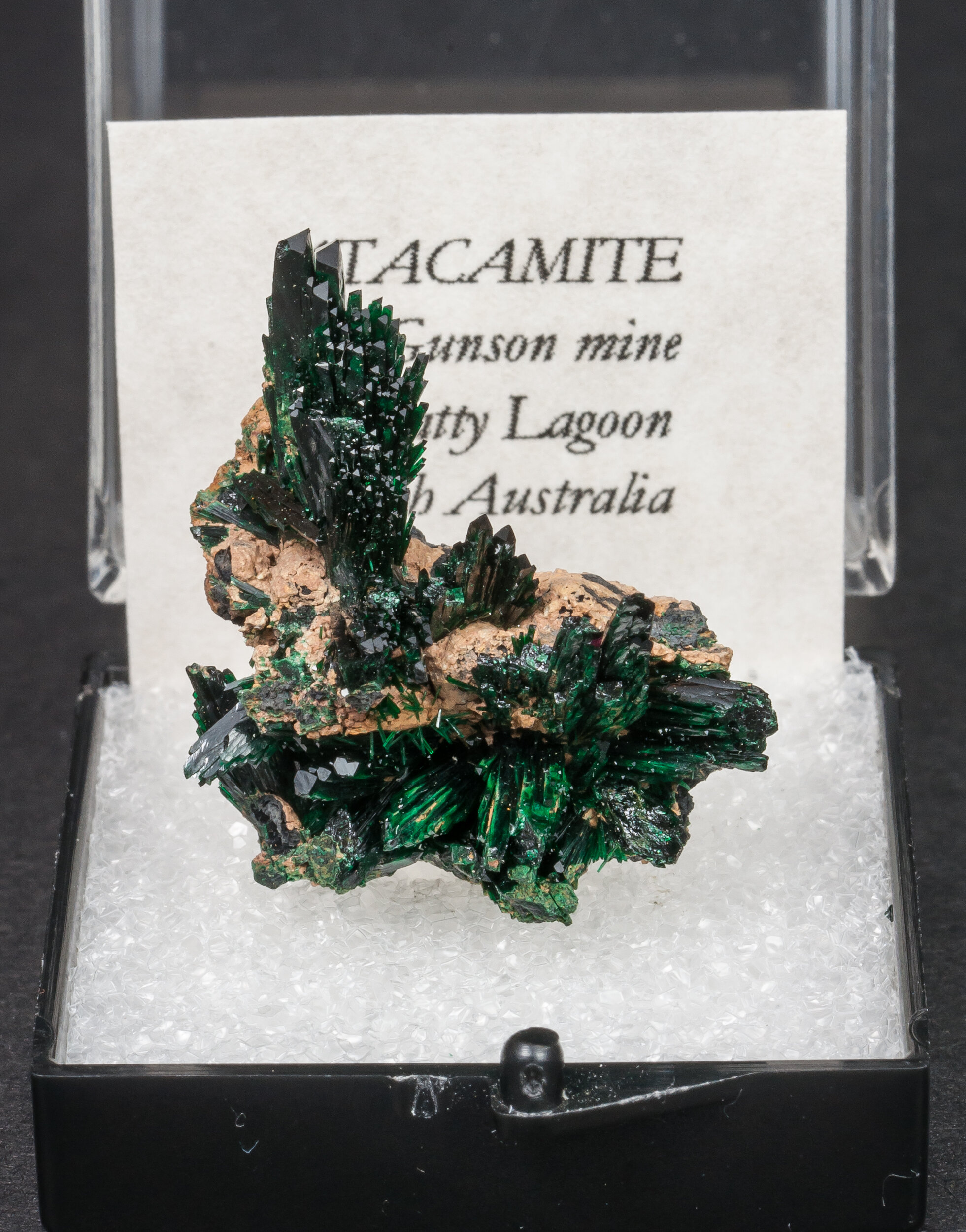 specimens/s_imagesAM7/Atacamite-MT27AM7f1.jpg