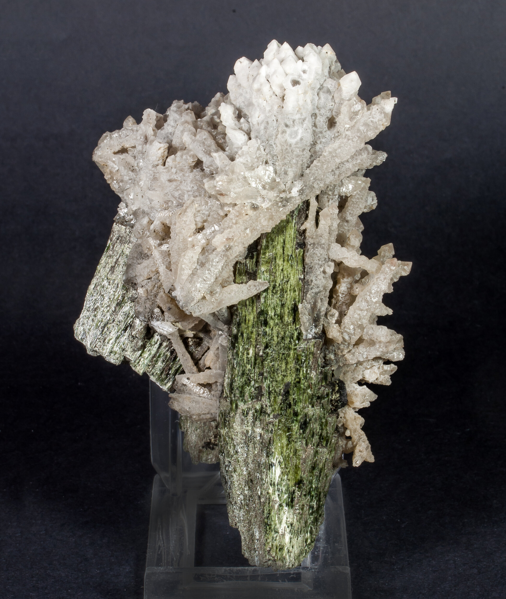 specimens/s_imagesAM7/Hedenbergite-MB47AM7s.jpg