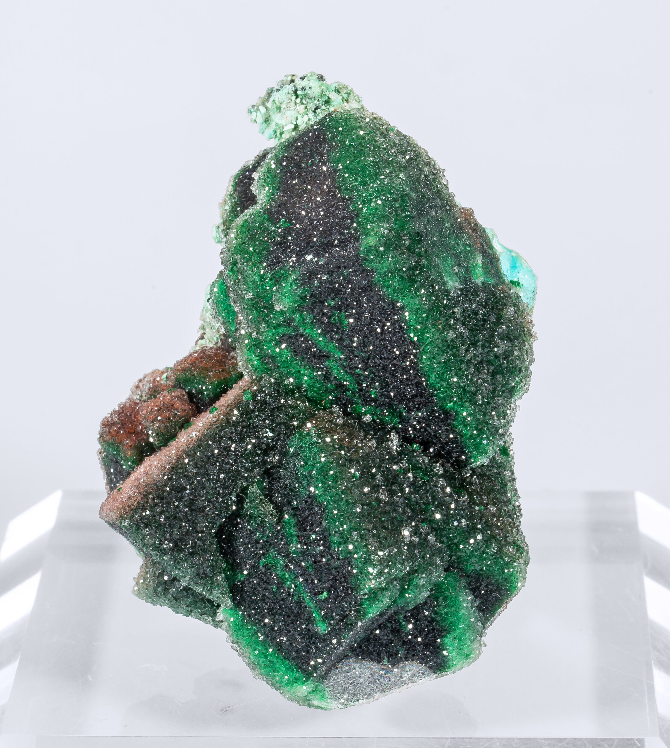 specimens/s_imagesAM7/Malachite-ER88AM7f.jpg