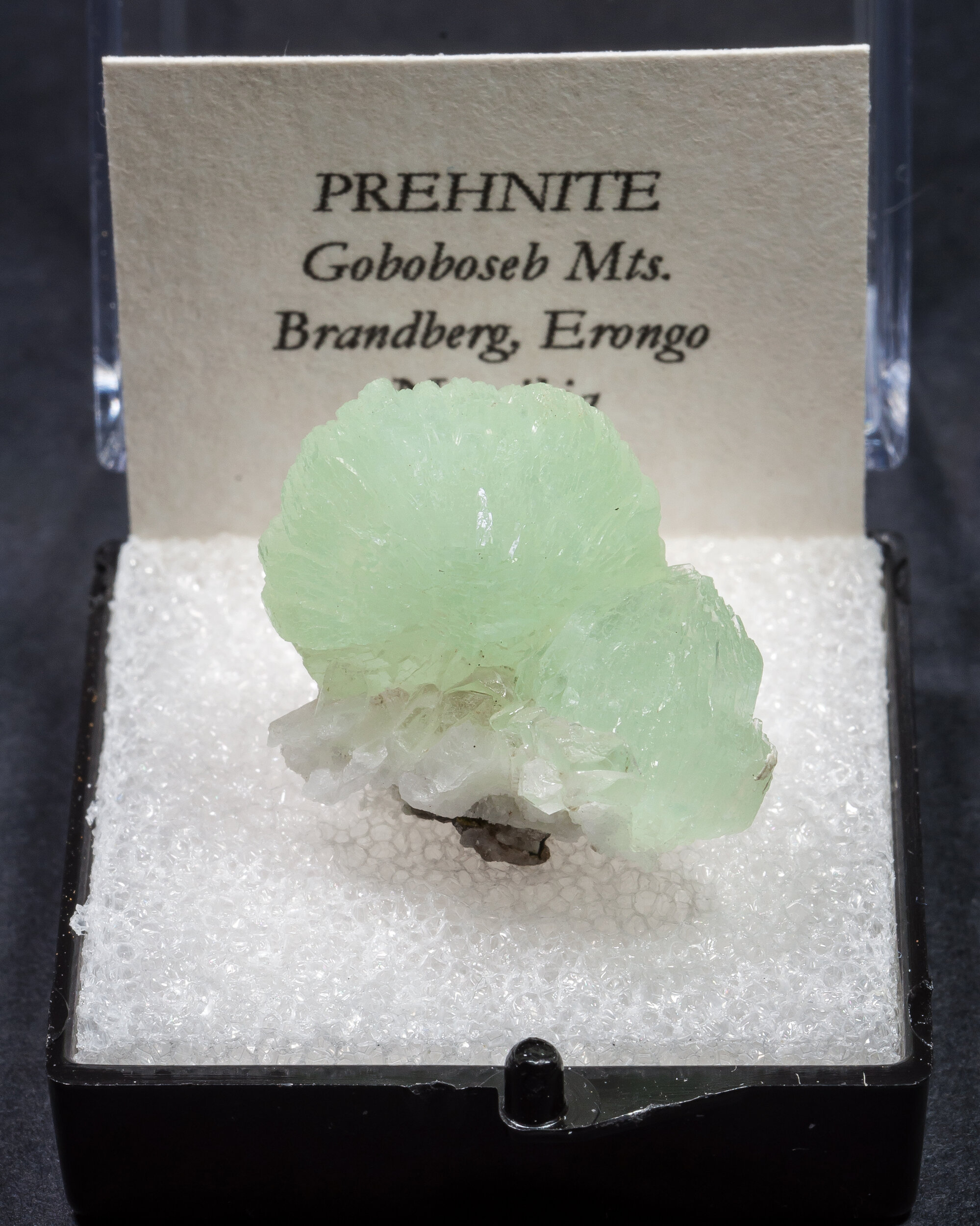 specimens/s_imagesAM7/Prehnite-MH14AM7f1.jpg