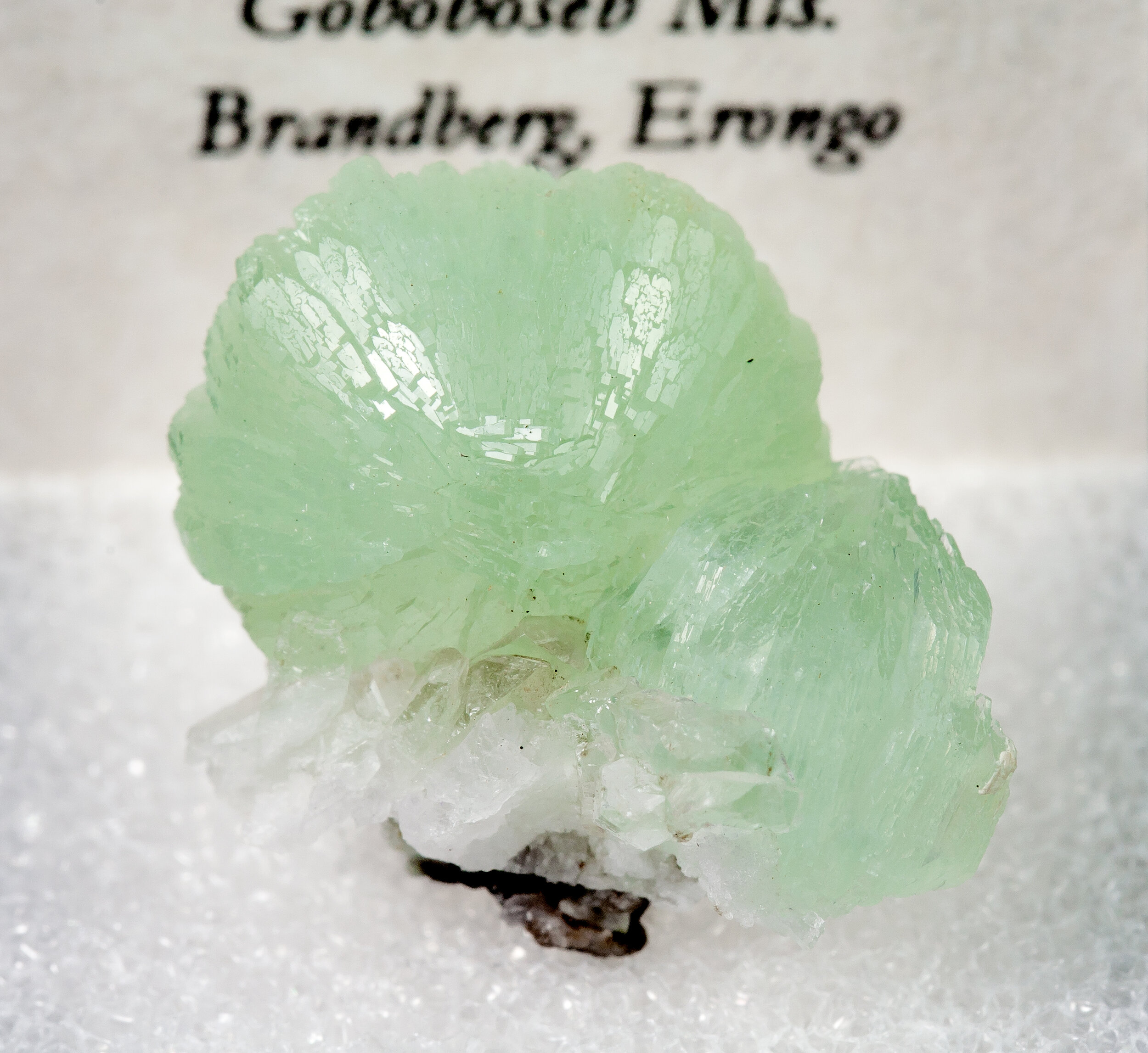 specimens/s_imagesAM7/Prehnite-MH14AM7f2.jpg