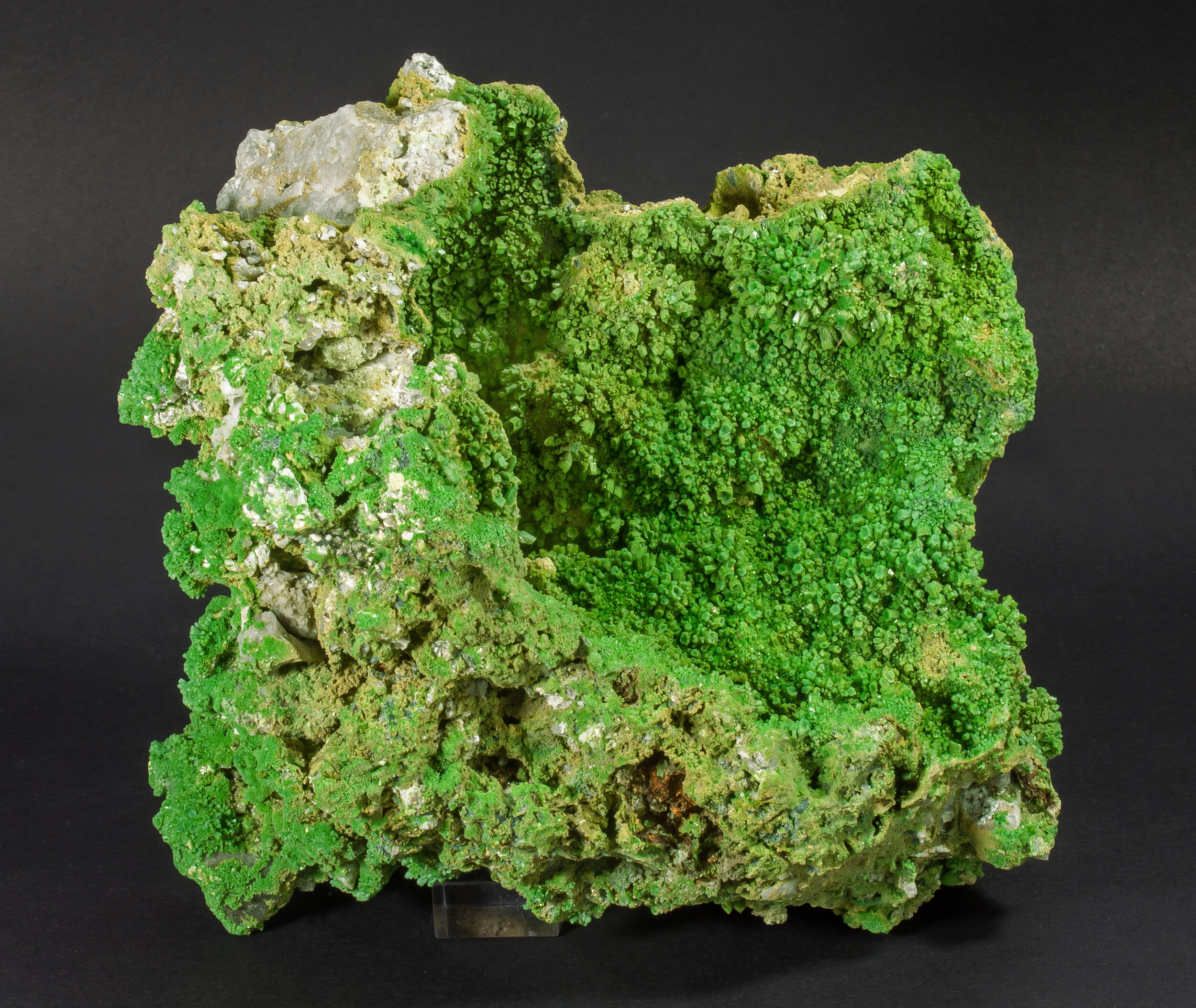 specimens/s_imagesAM7/Pyromorphite-AA59AM7f.jpg