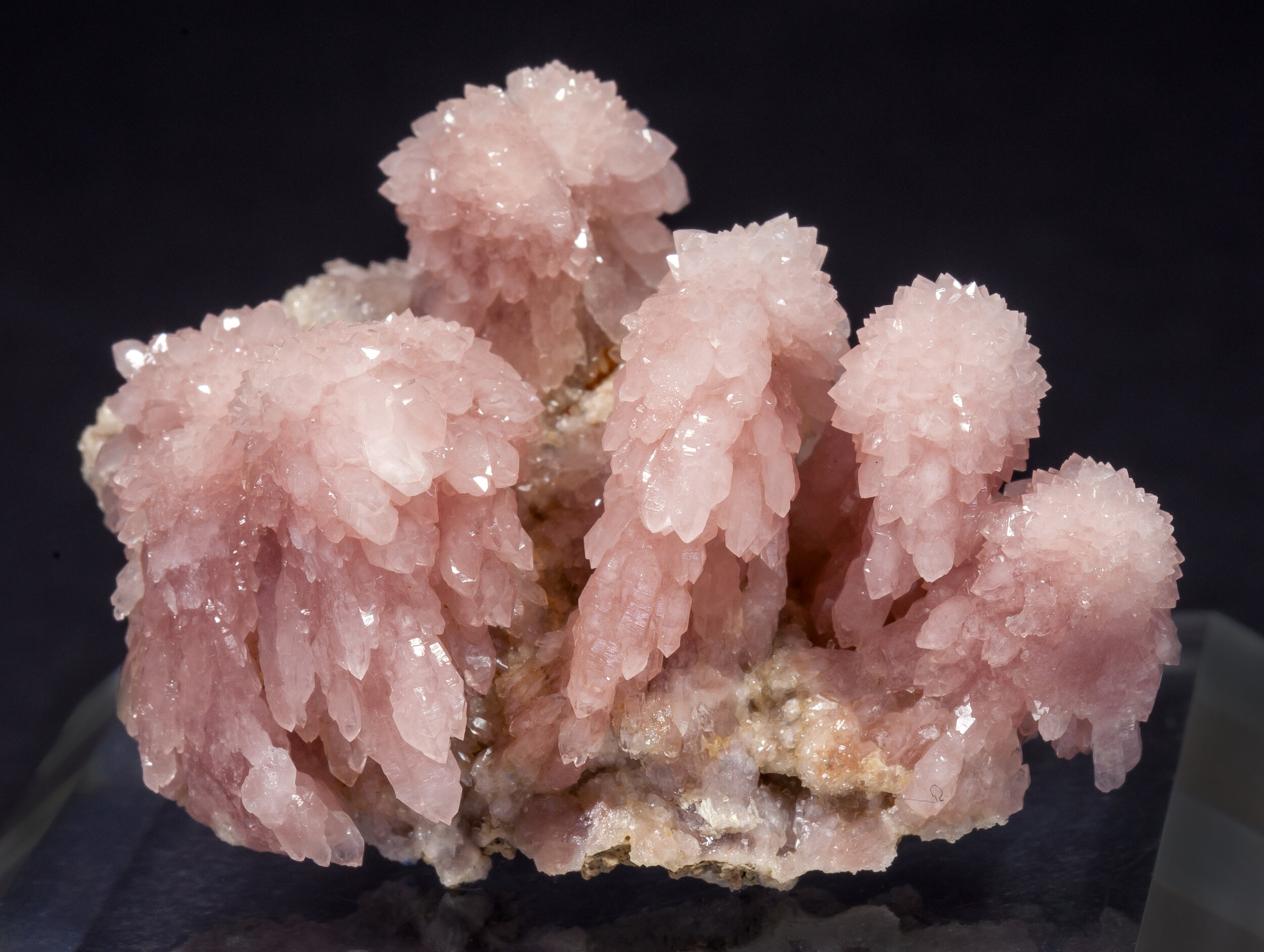 specimens/s_imagesAM7/Quartz_rose-MB14AM7d.jpg