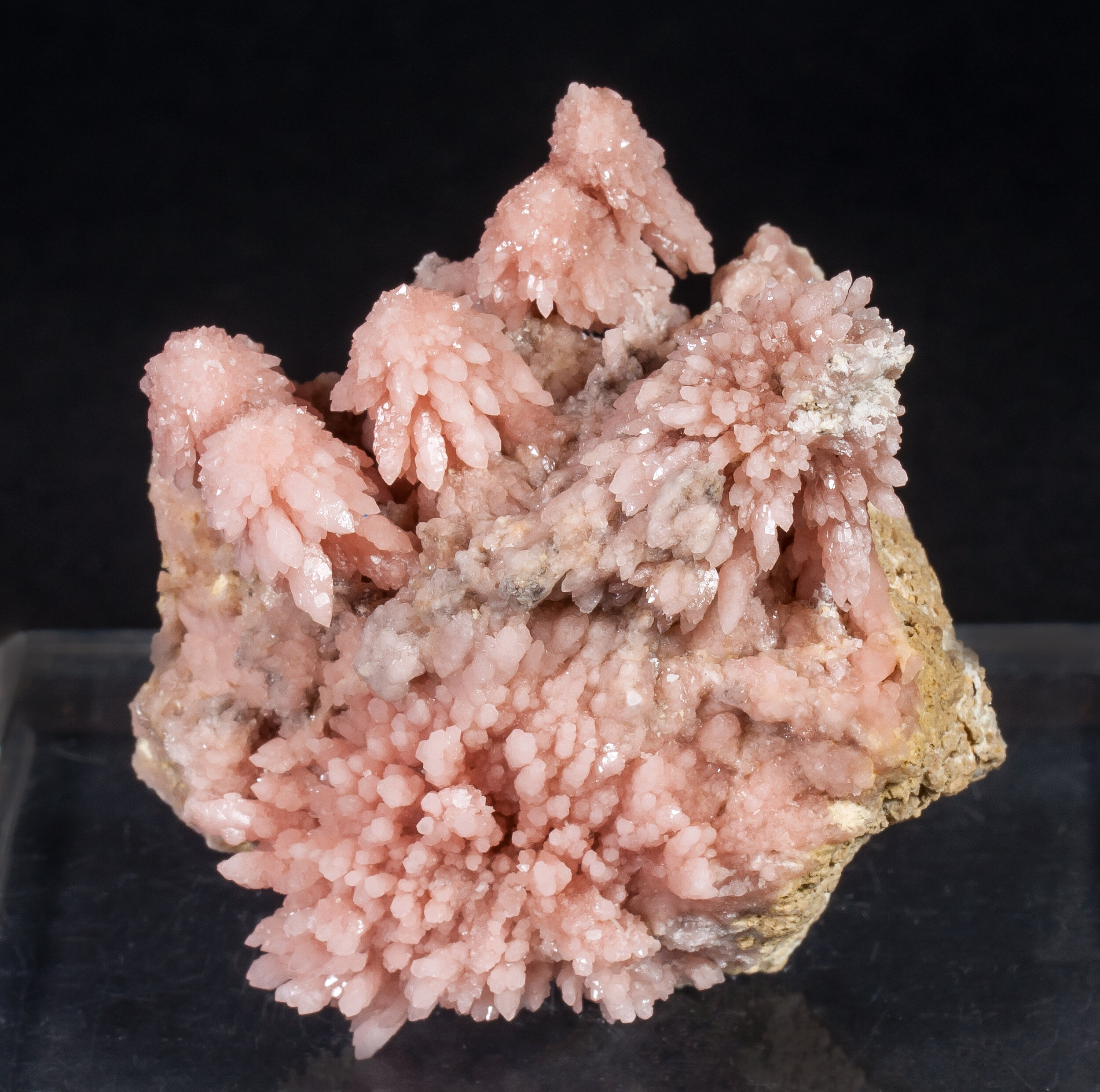 specimens/s_imagesAM7/Quartz_rose-MM48AM7f.jpg