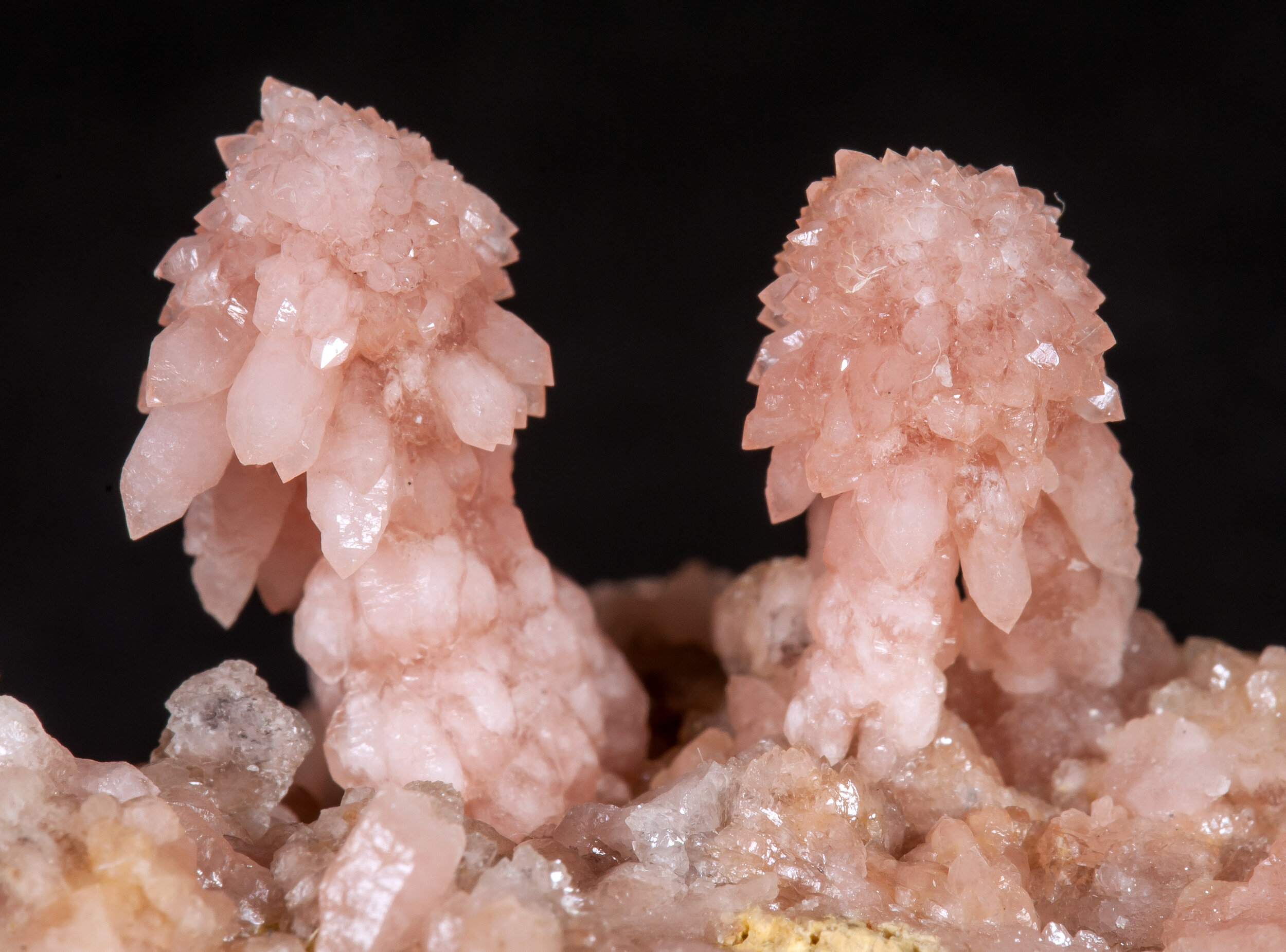 specimens/s_imagesAM7/Quartz_rose-MY14AM7d.jpg