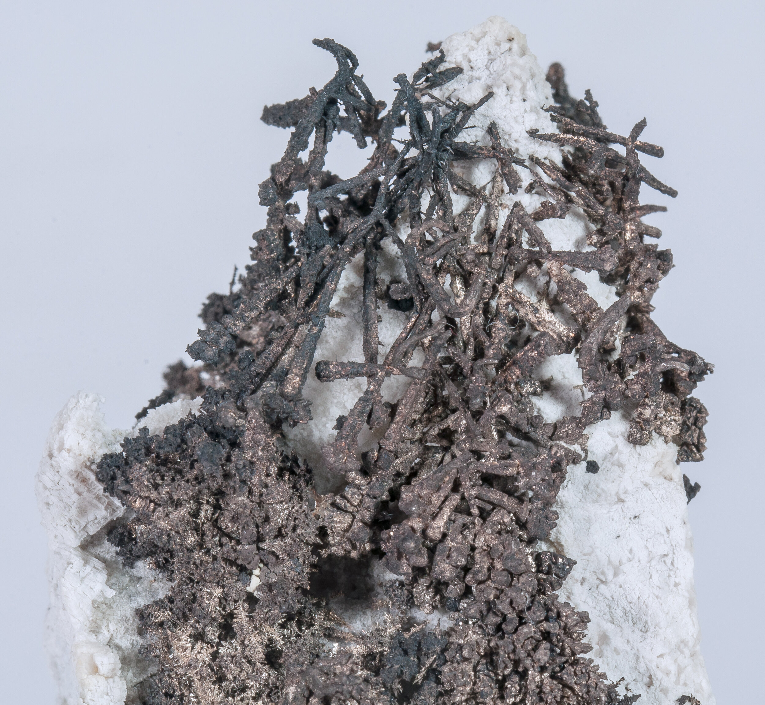 specimens/s_imagesAM7/Silver-PD89AM7d.jpg