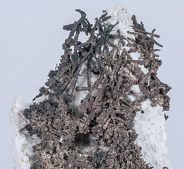 Silver with Acanthite and Calcite. 