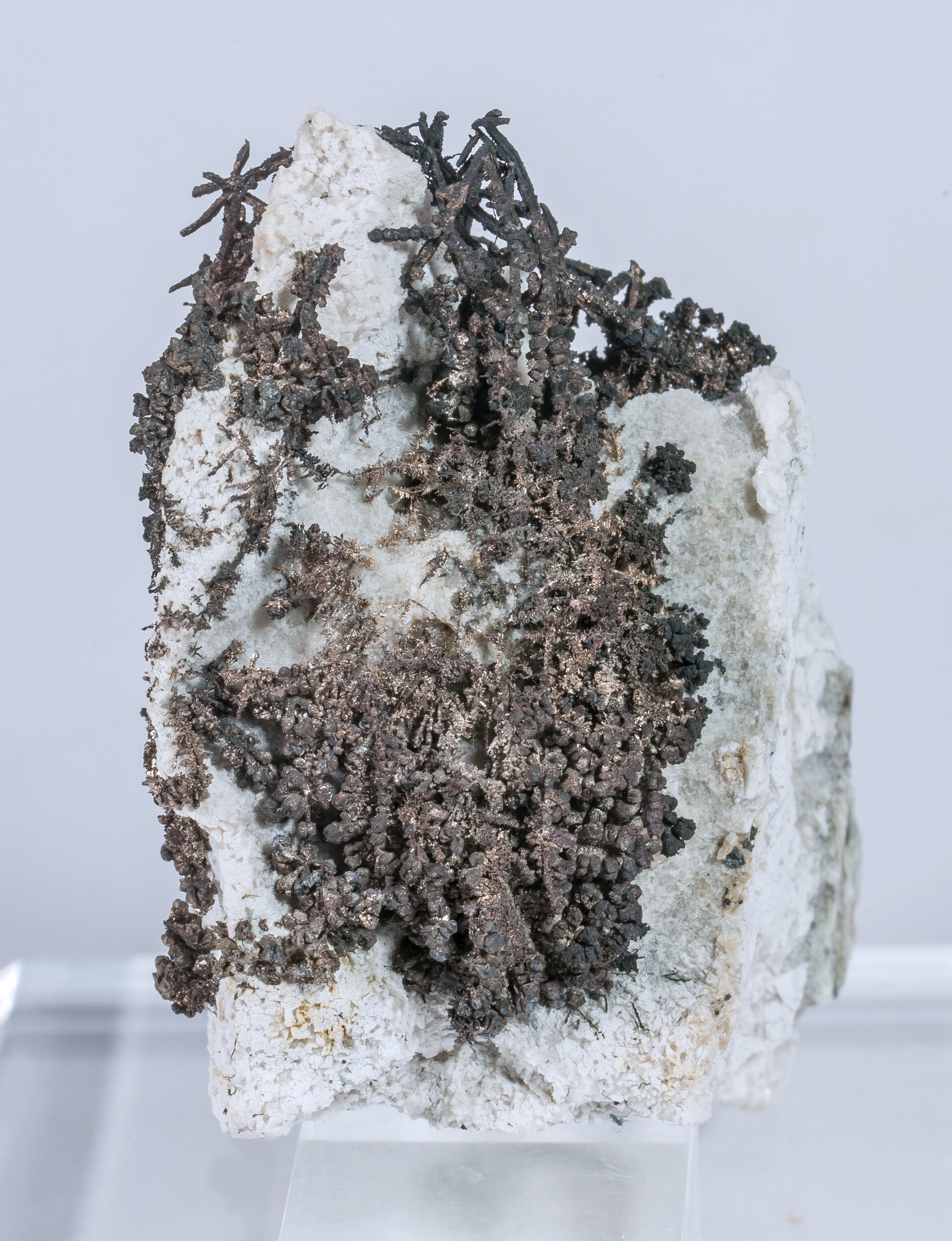 specimens/s_imagesAM7/Silver-PD89AM7r.jpg