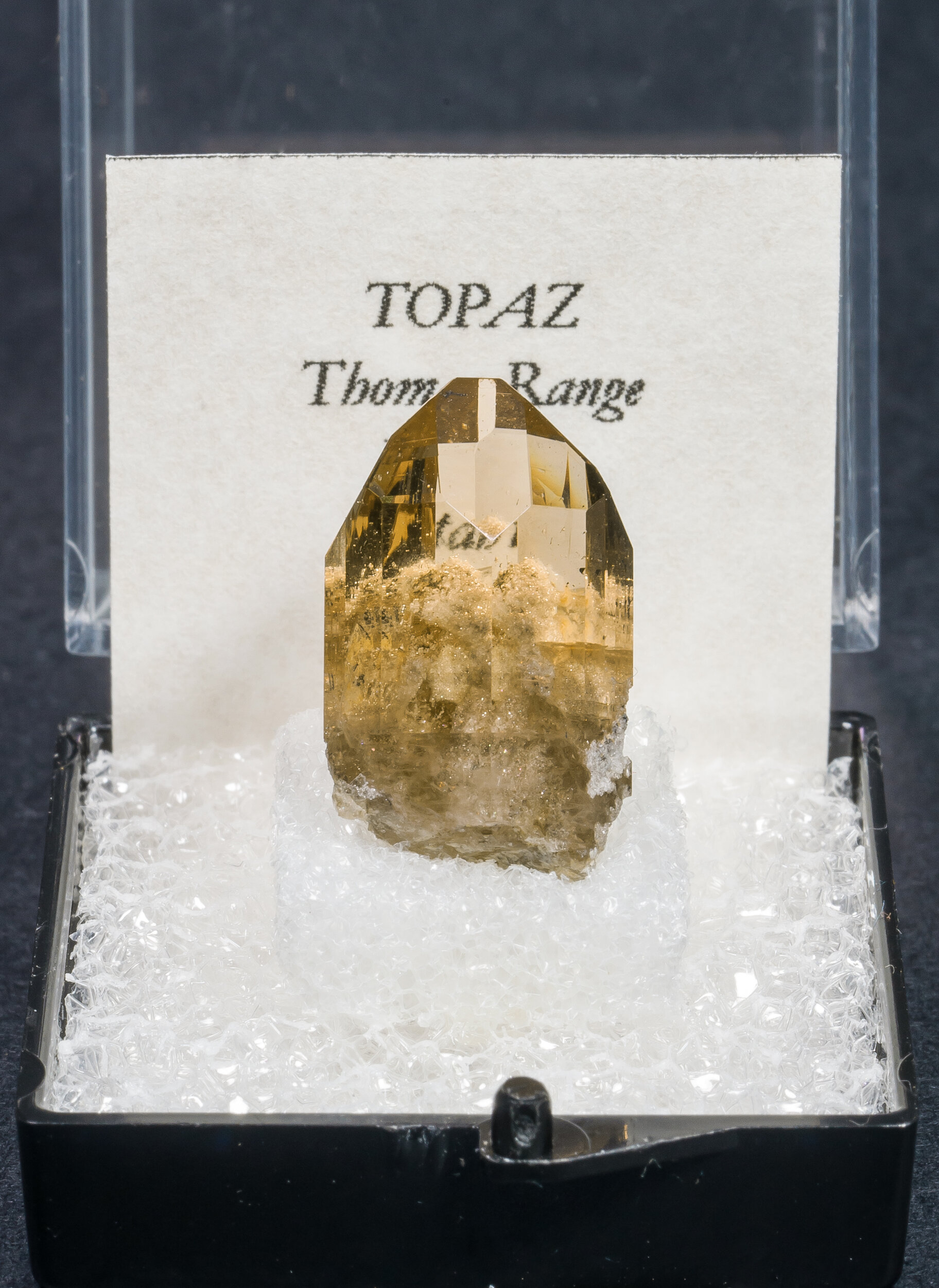 specimens/s_imagesAM7/Topaz-MV13AM7f.jpg