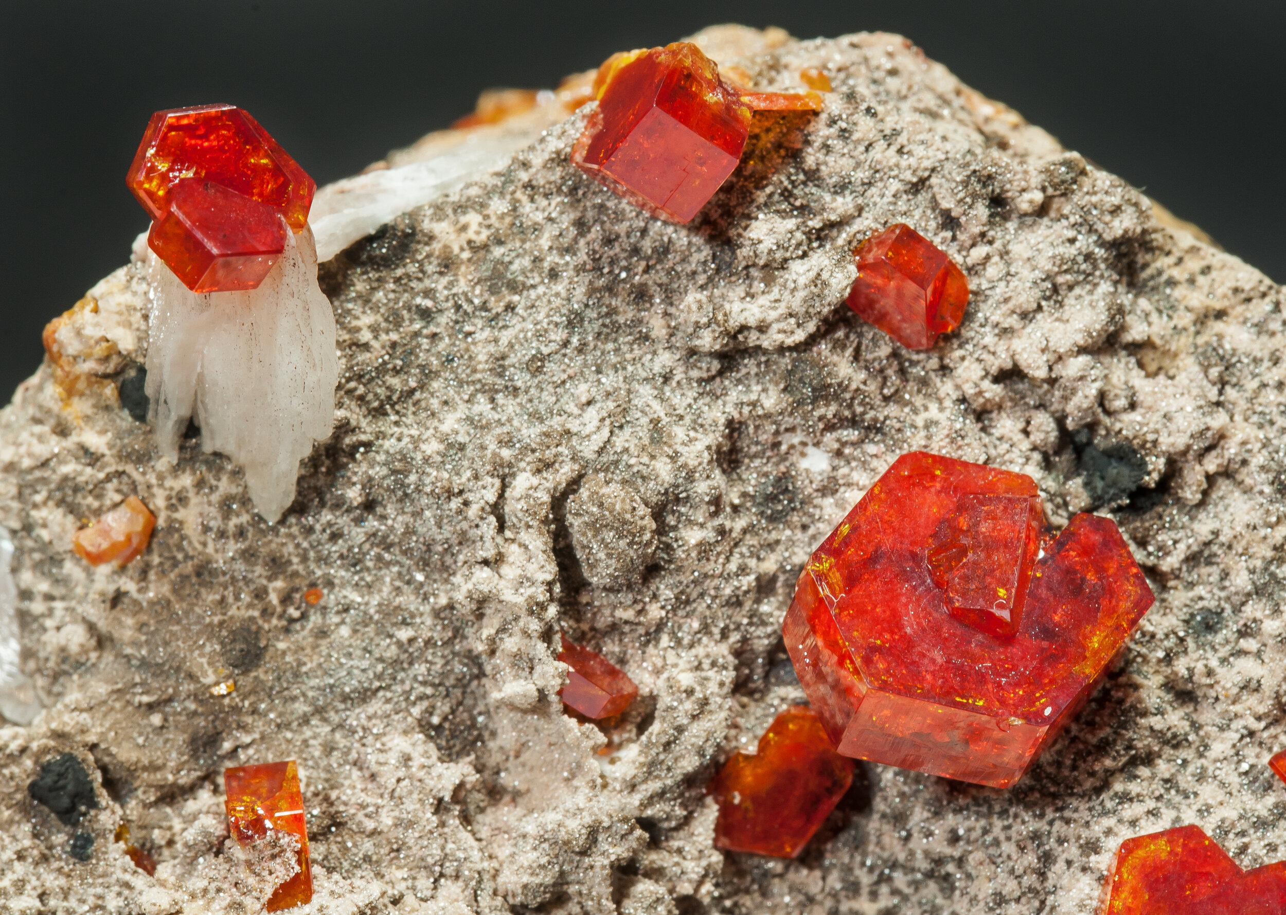 specimens/s_imagesAM7/Vanadinite-AA96AM7d.jpg