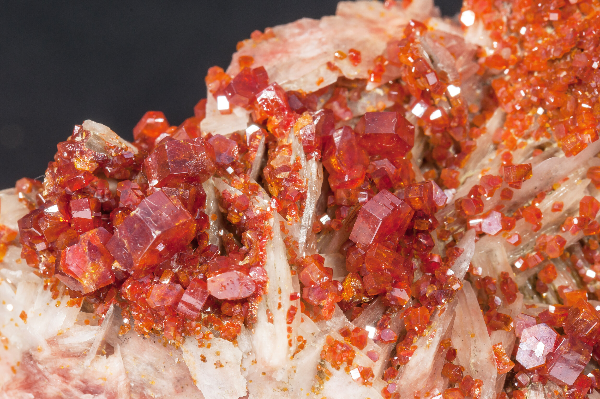 specimens/s_imagesAM7/Vanadinite-MB36AM7d.jpg