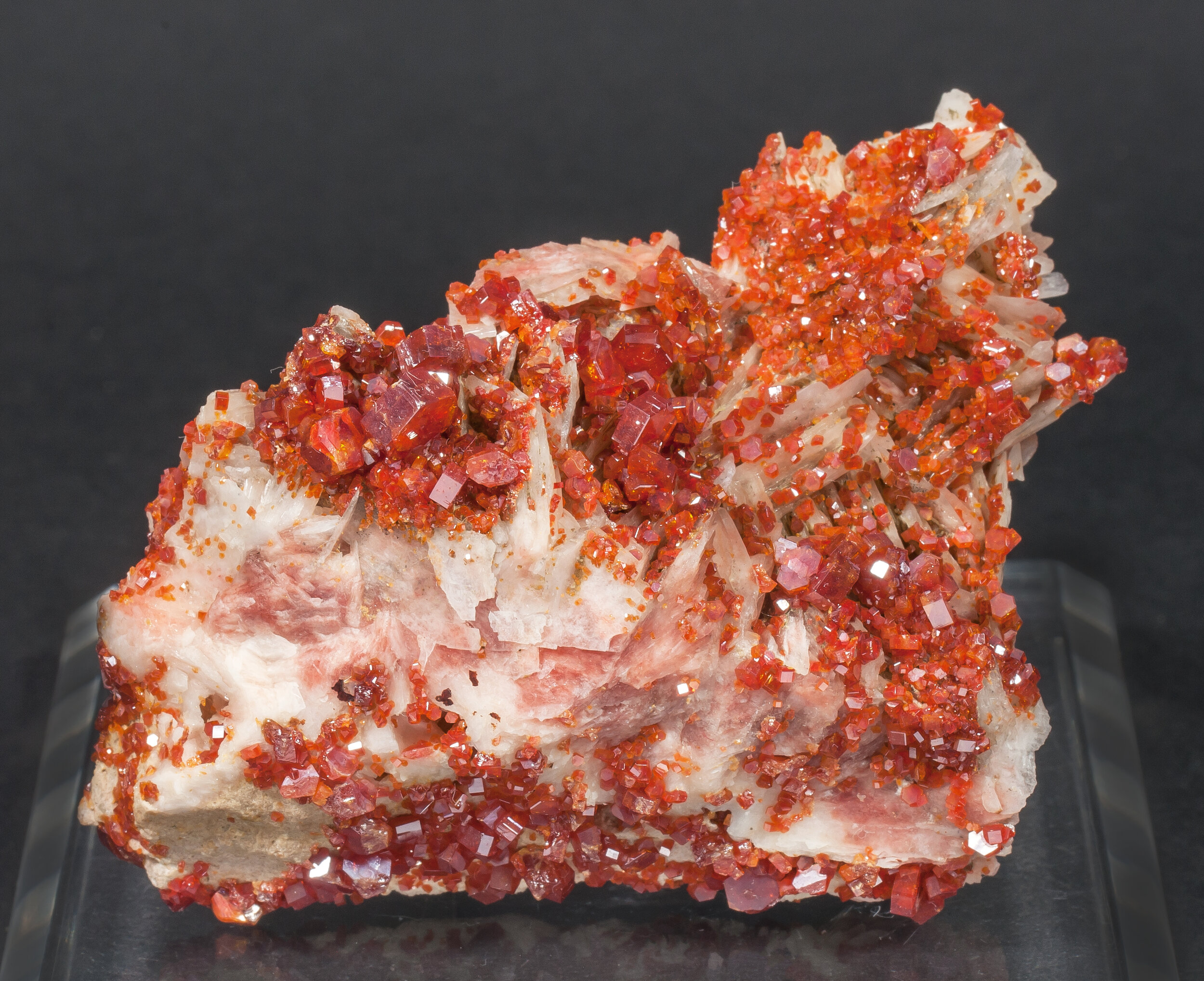 specimens/s_imagesAM7/Vanadinite-MB36AM7f.jpg