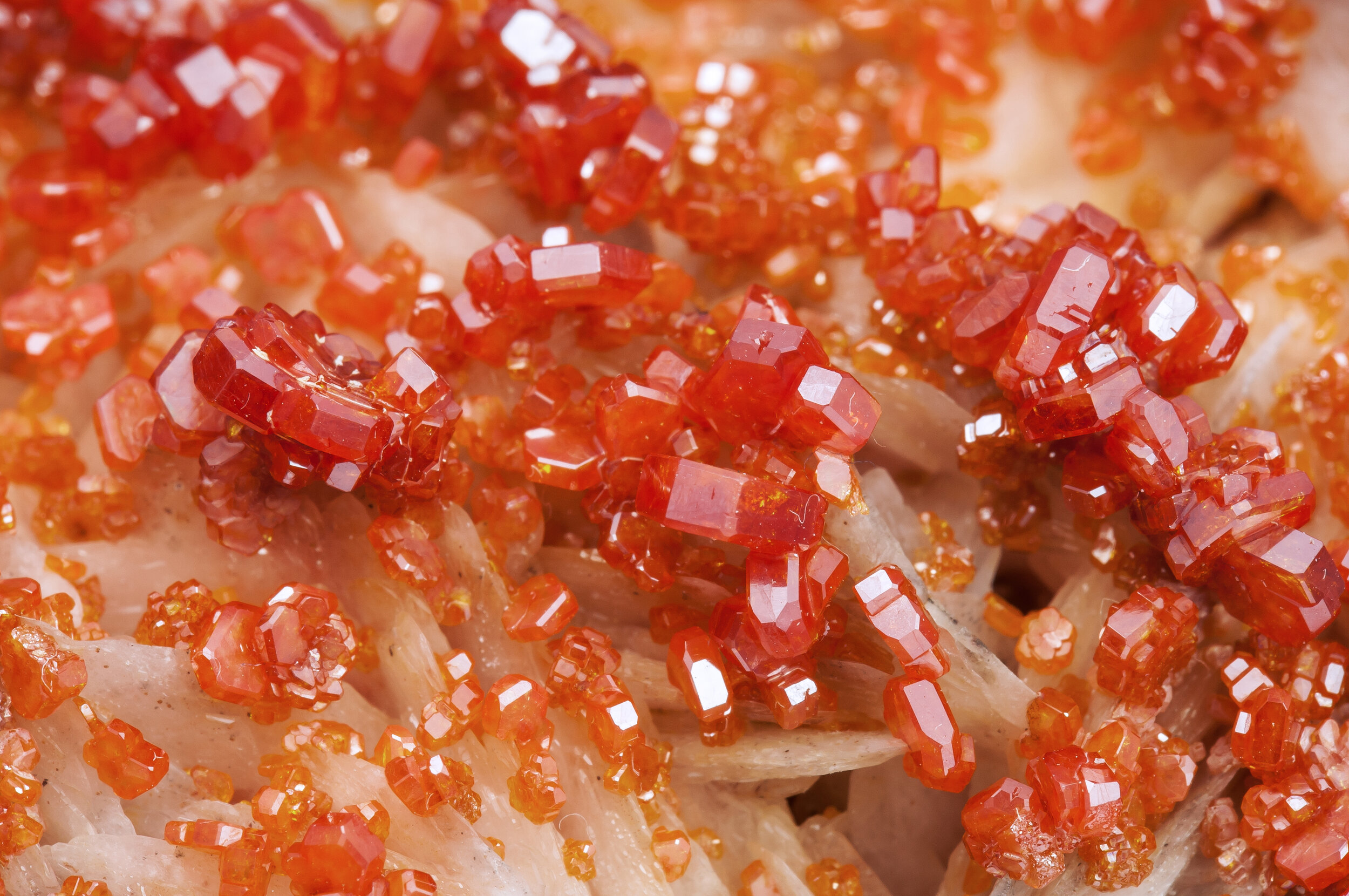 specimens/s_imagesAM7/Vanadinite-TMB76AM7d.jpg