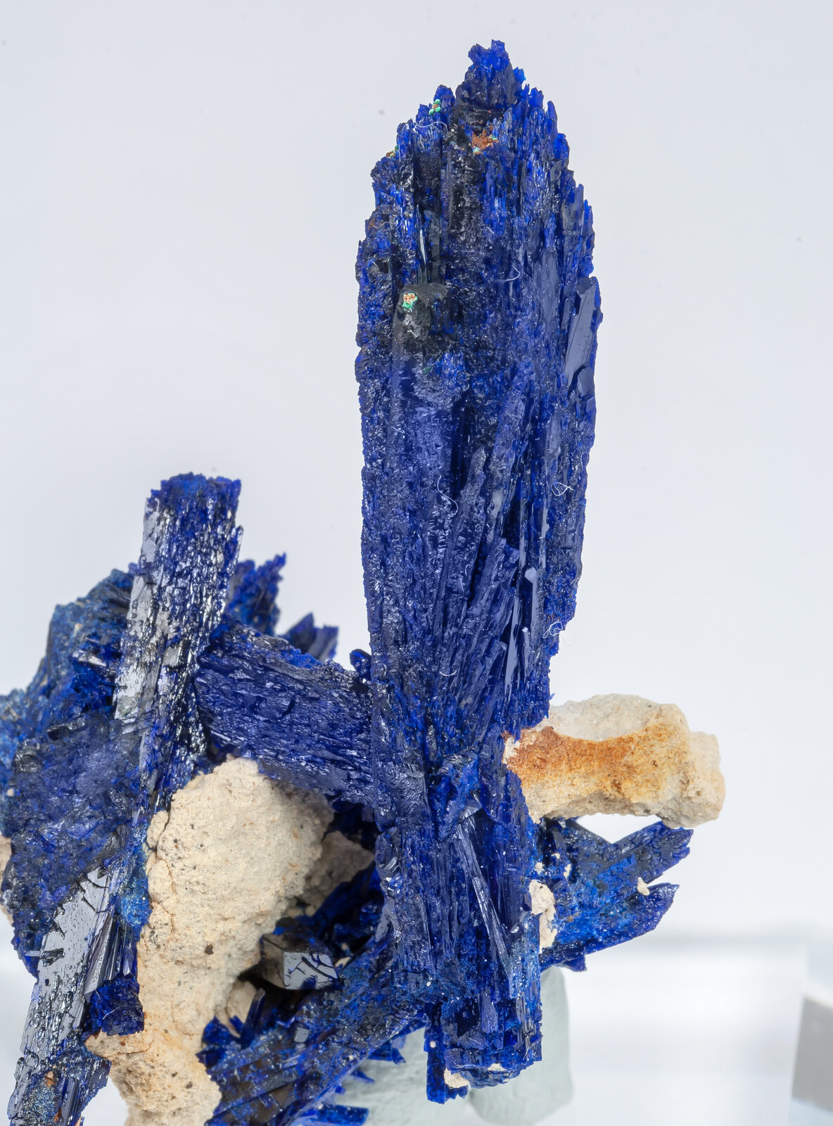 specimens/s_imagesAM8/Azurite-TM66AM8d.jpg