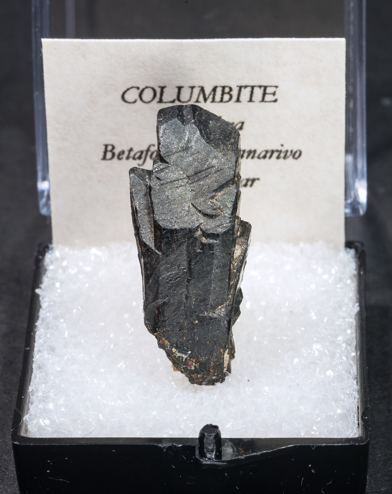 specimens/s_imagesAM8/Columbite-MN56AM8f.jpg