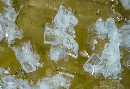 Fluorite with Baryte and Pyrite. 