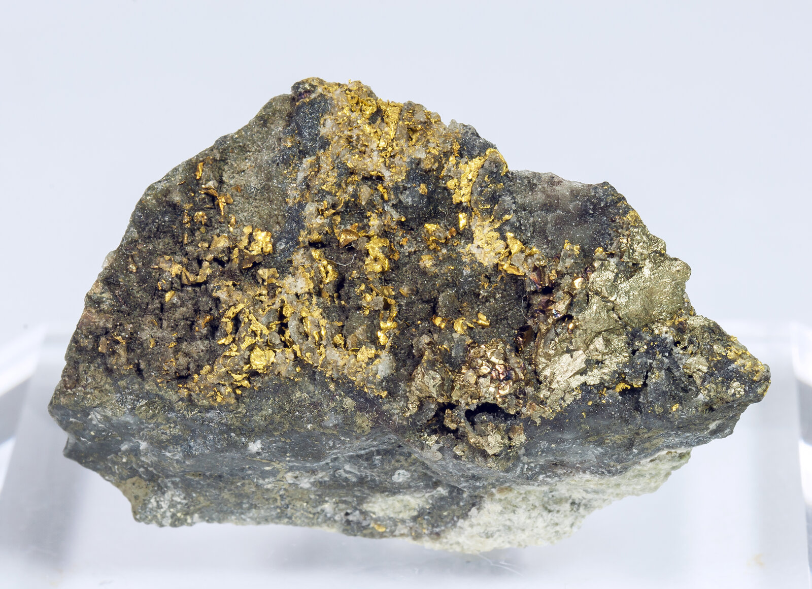 specimens/s_imagesAM8/Gold-EA27AM8f.jpg