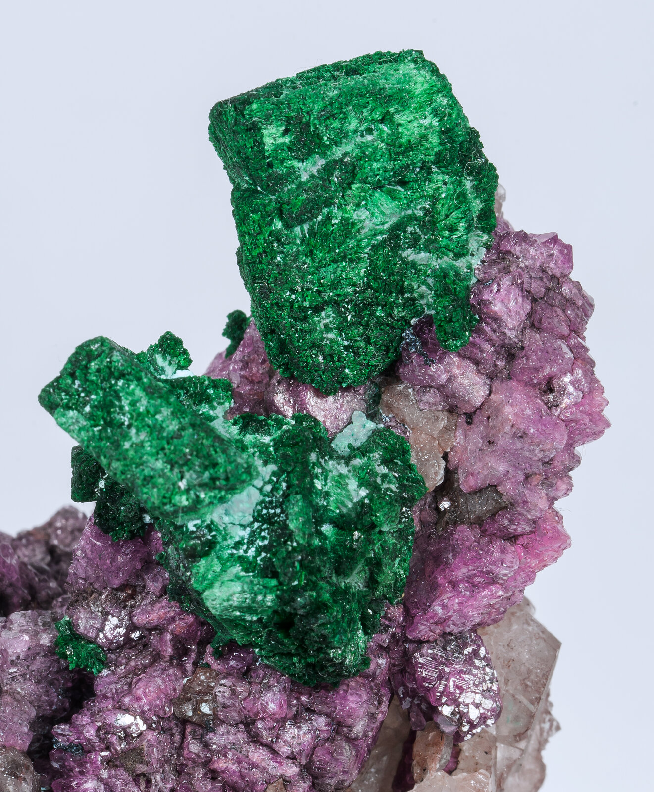 specimens/s_imagesAM8/Malachite-TZ91AM8d2.jpg