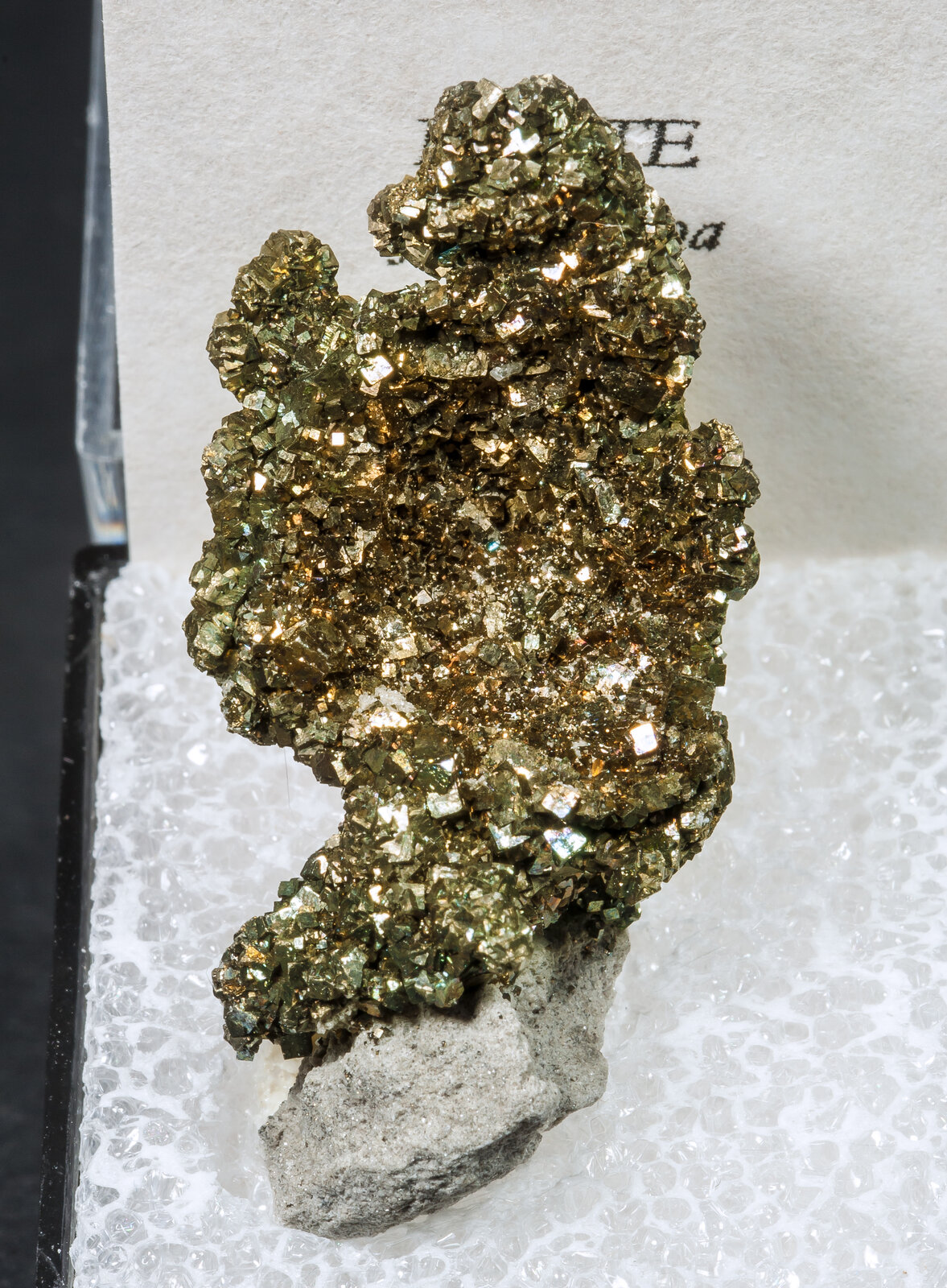 specimens/s_imagesAM8/Pyrite-MP12AM8f2.jpg