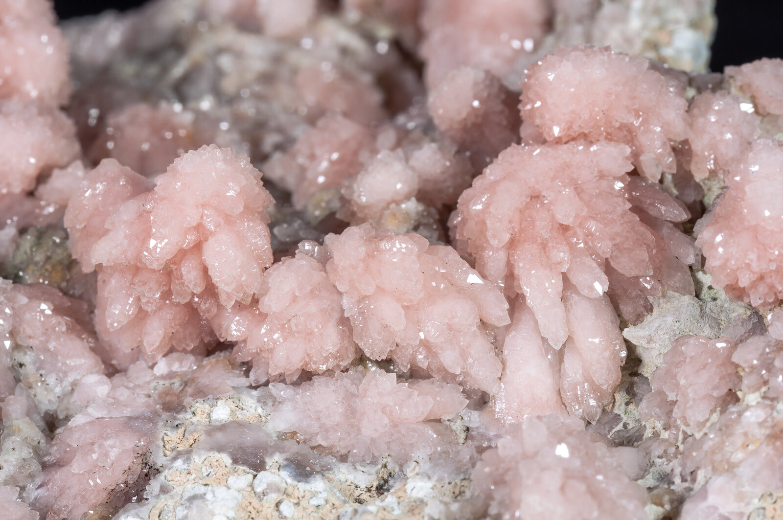 specimens/s_imagesAM8/Quartz_rose-MA87AM8d1.jpg