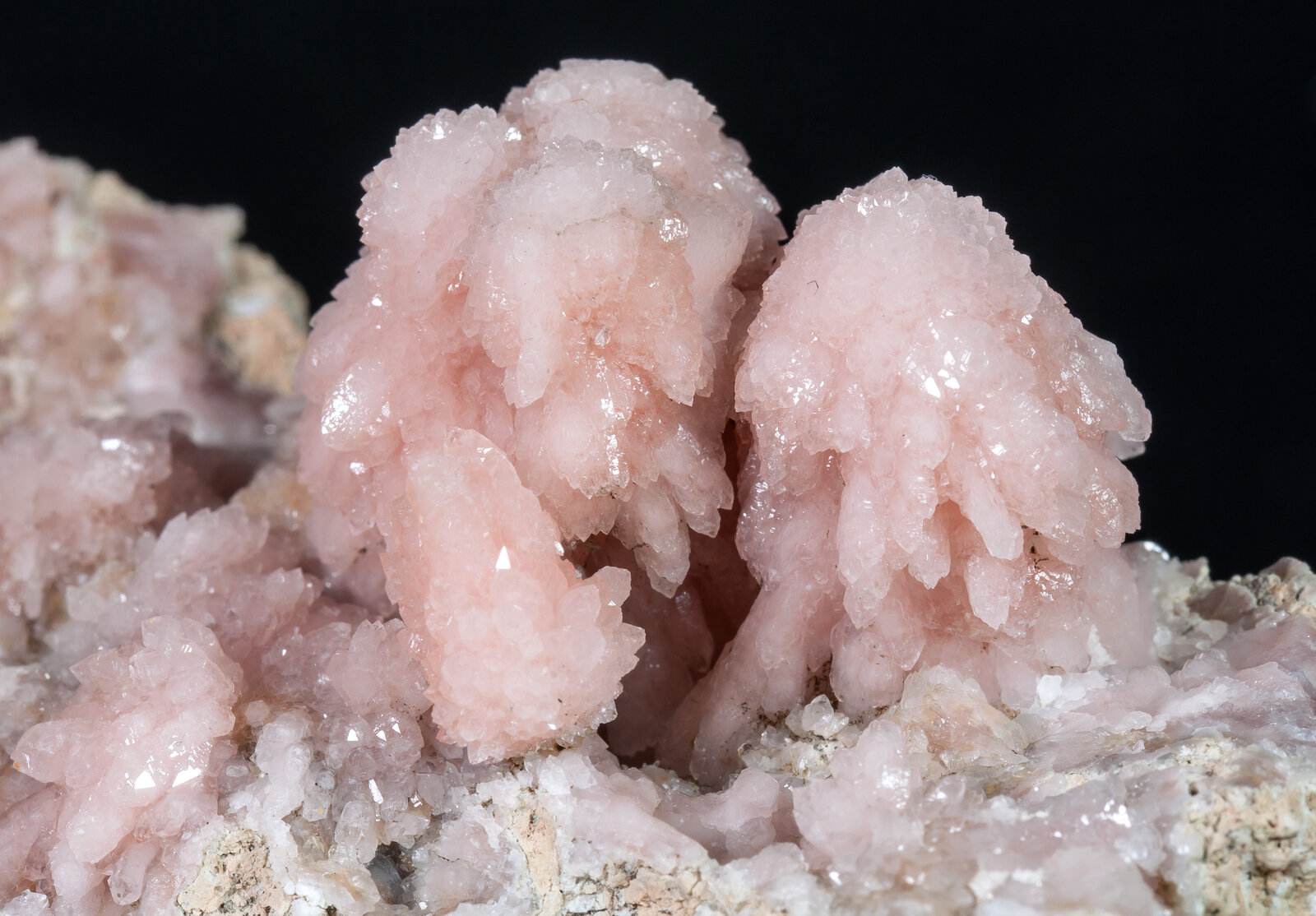 specimens/s_imagesAM8/Quartz_rose-MA87AM8d2.jpg