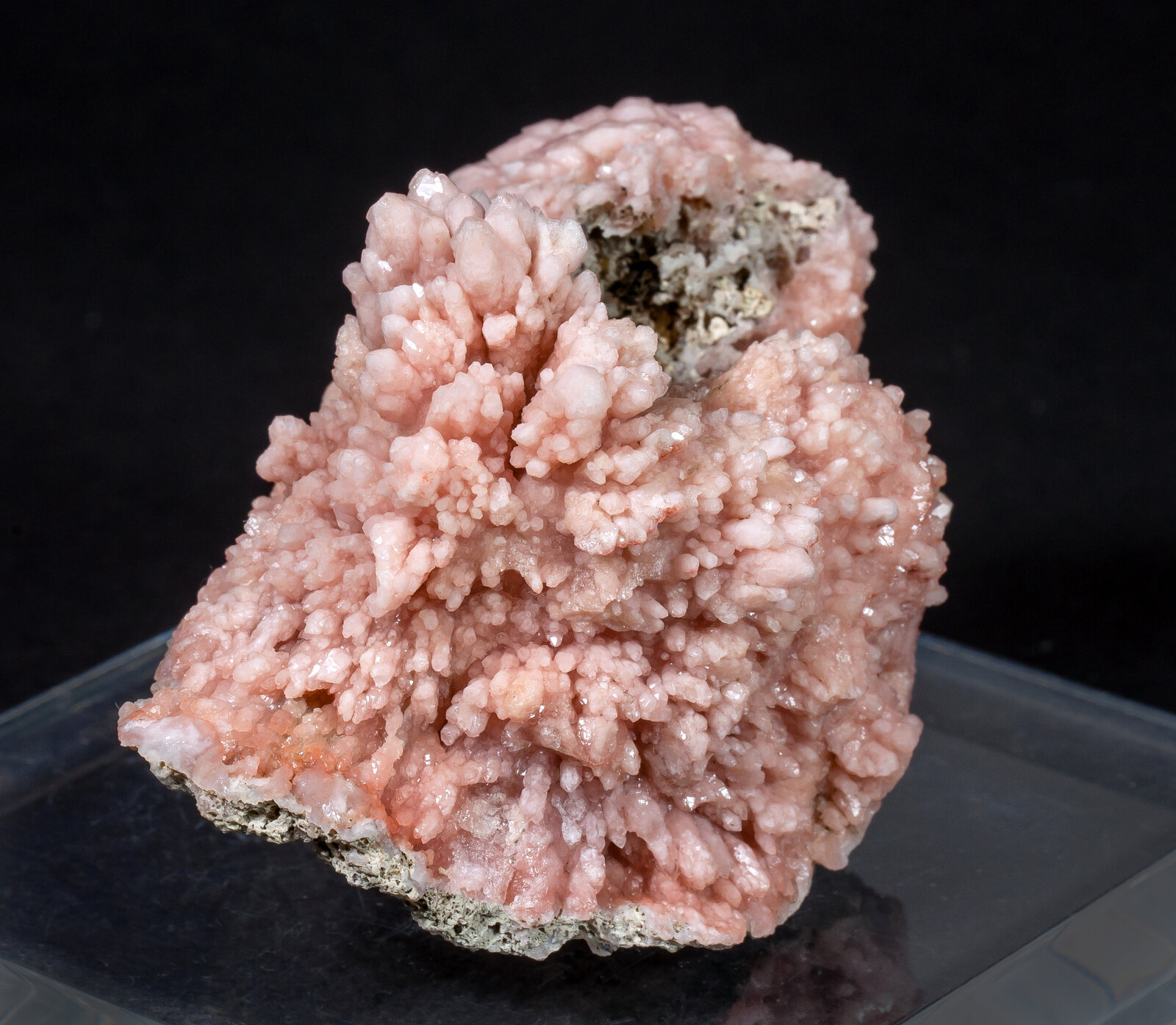 specimens/s_imagesAM8/Quartz_rose-MB97AM8s.jpg