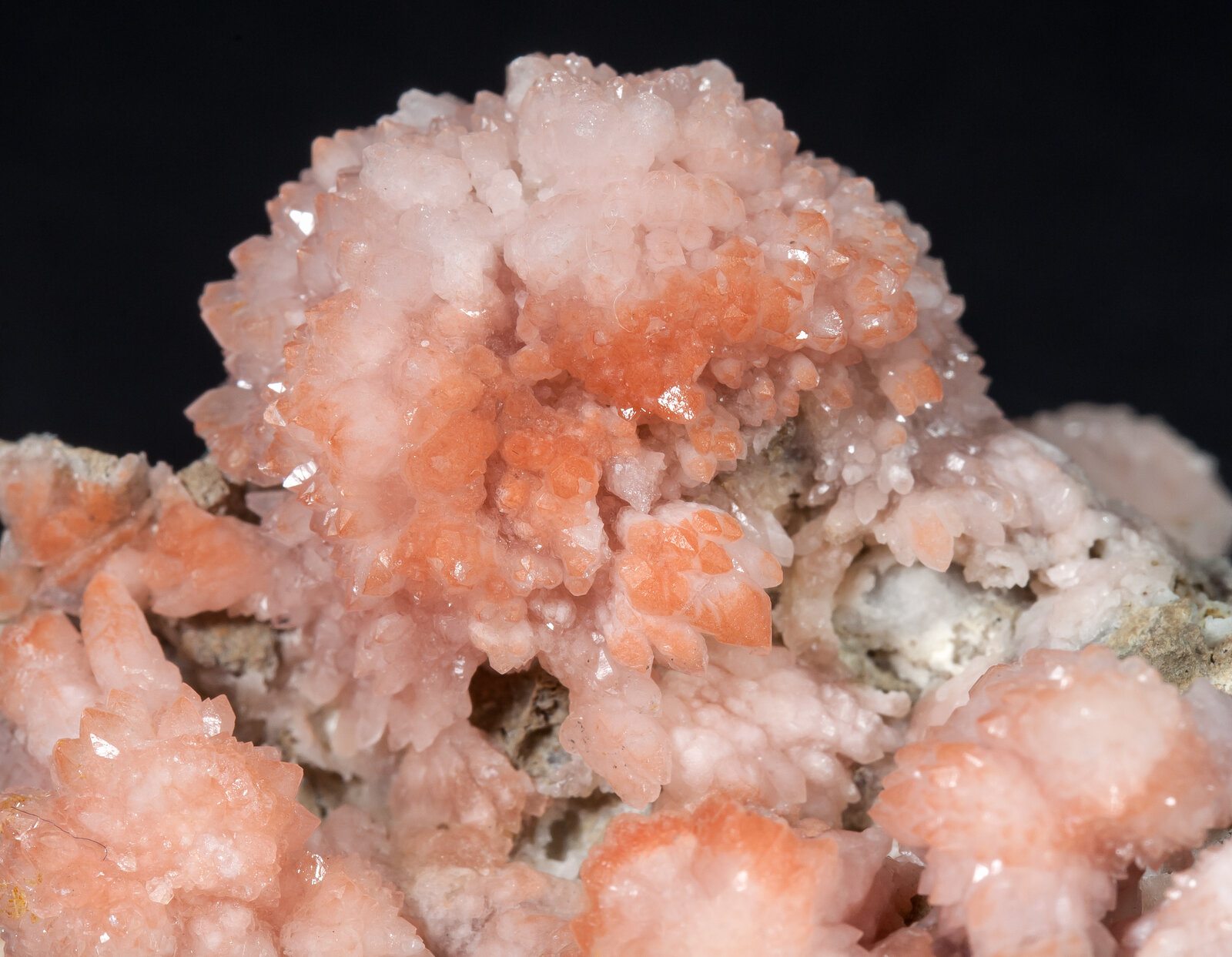 specimens/s_imagesAM8/Quartz_rose-TQ37AM8d.jpg